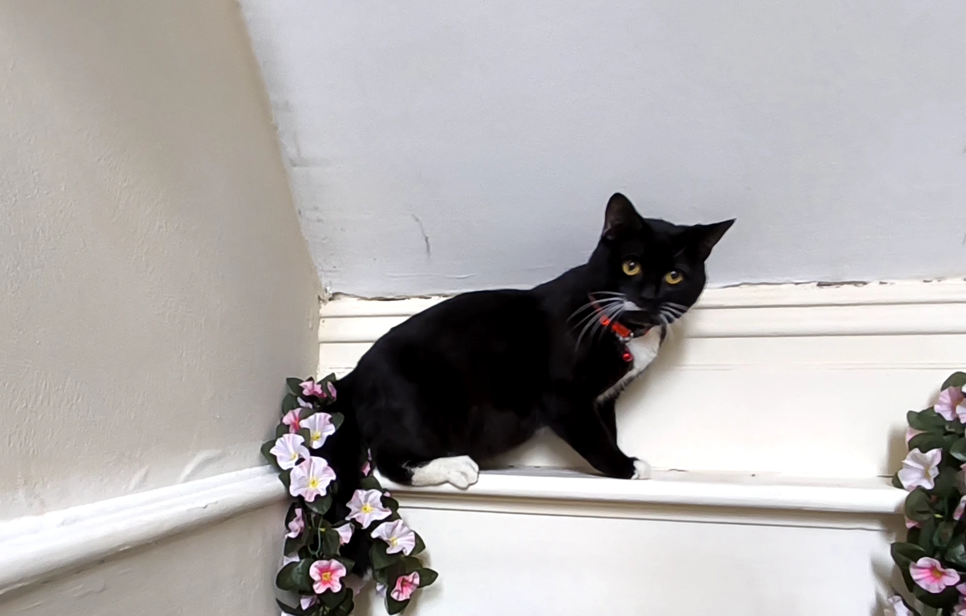 Huggu - Ellercroft Road, Bradford