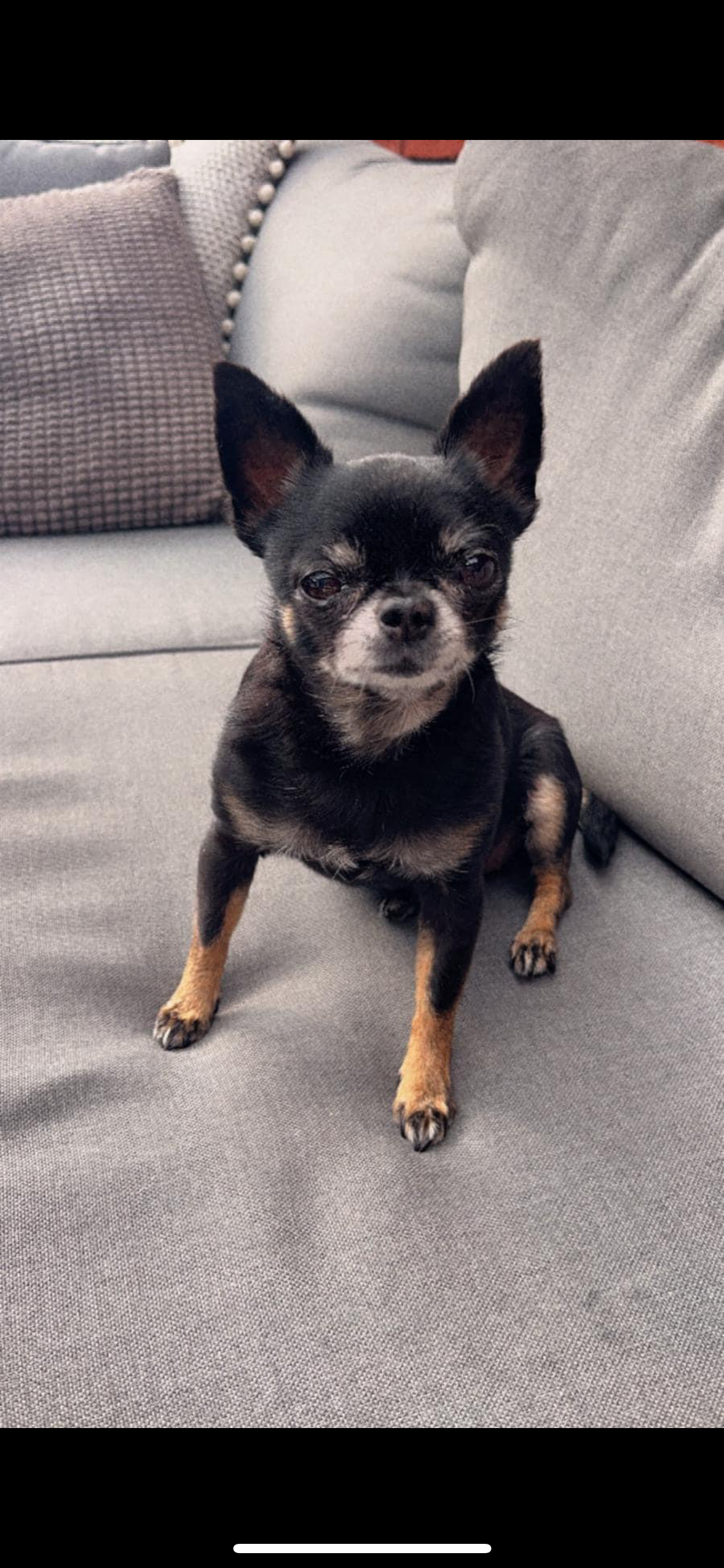 Luna - Pelsmakersstraat, Venlo