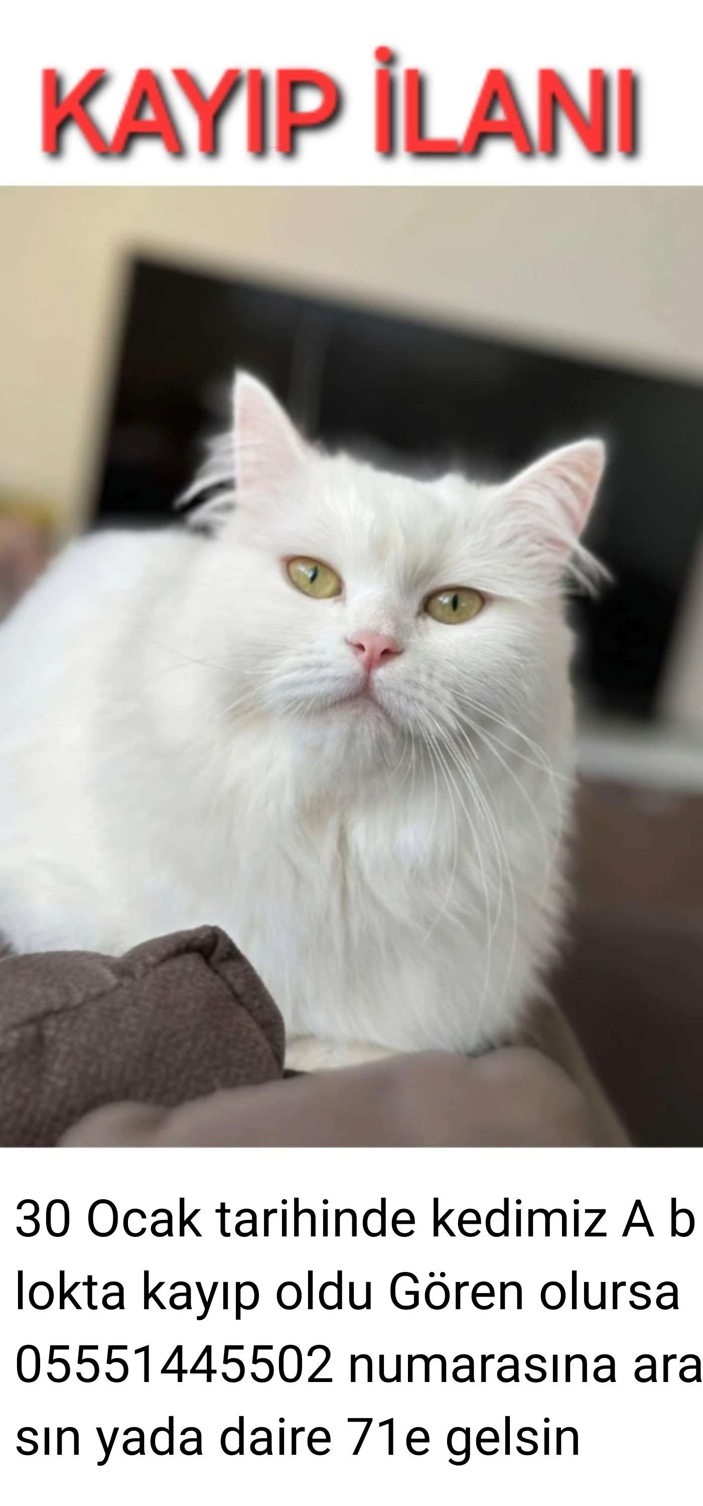 Taki - Sülün Sokağı, Istanbul