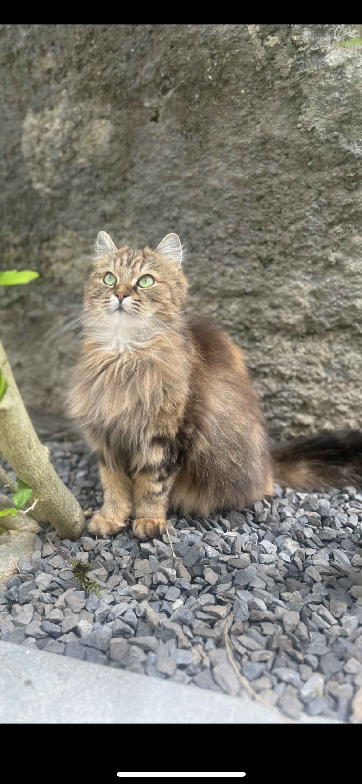 Singha - Avenue de la Prairie 4, Vevey
