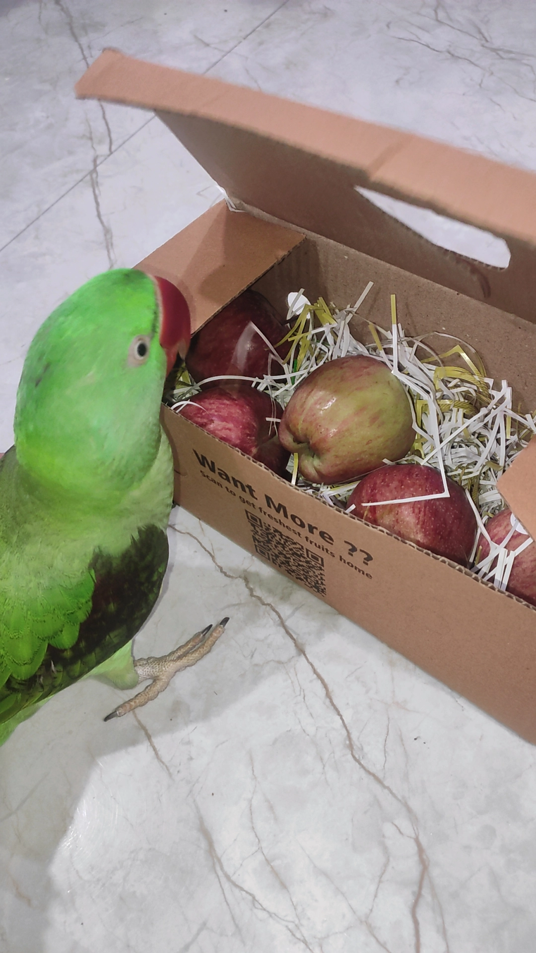 Poco - Old Palam Road, Dwarka