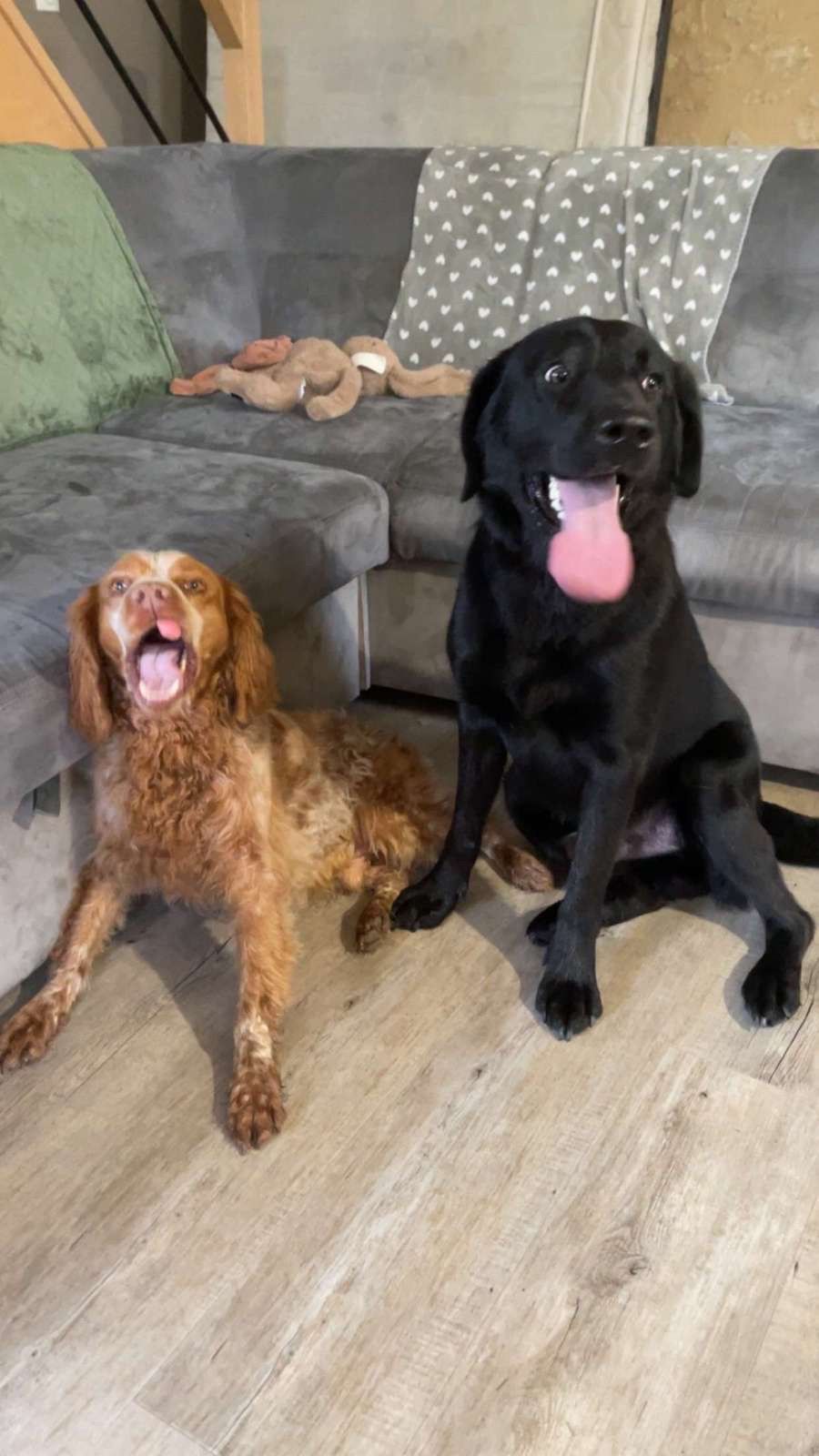 Neo et nesko  - Les Clercs, Vouneuil-sur-Vienne