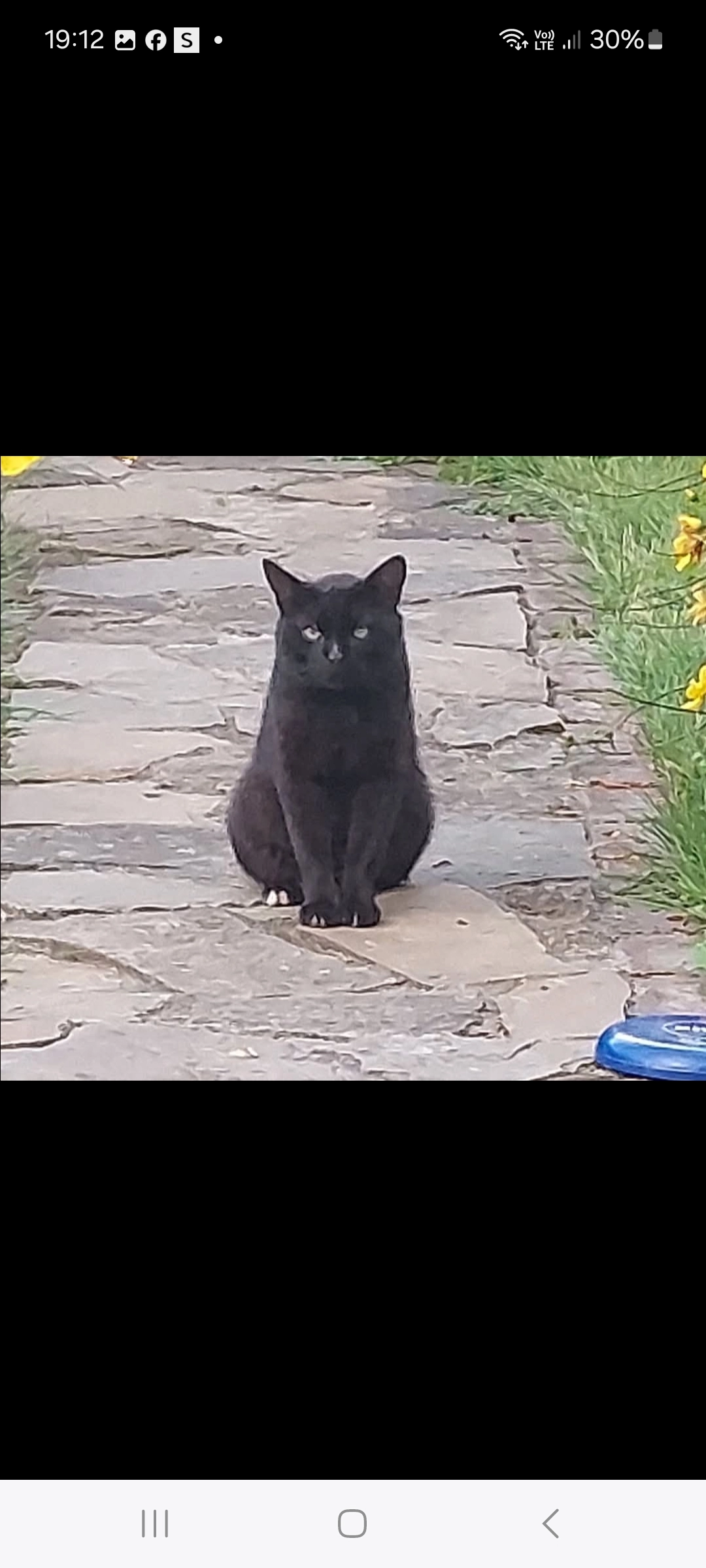 Bonhomme - Allée des Marcassins, Sprimont