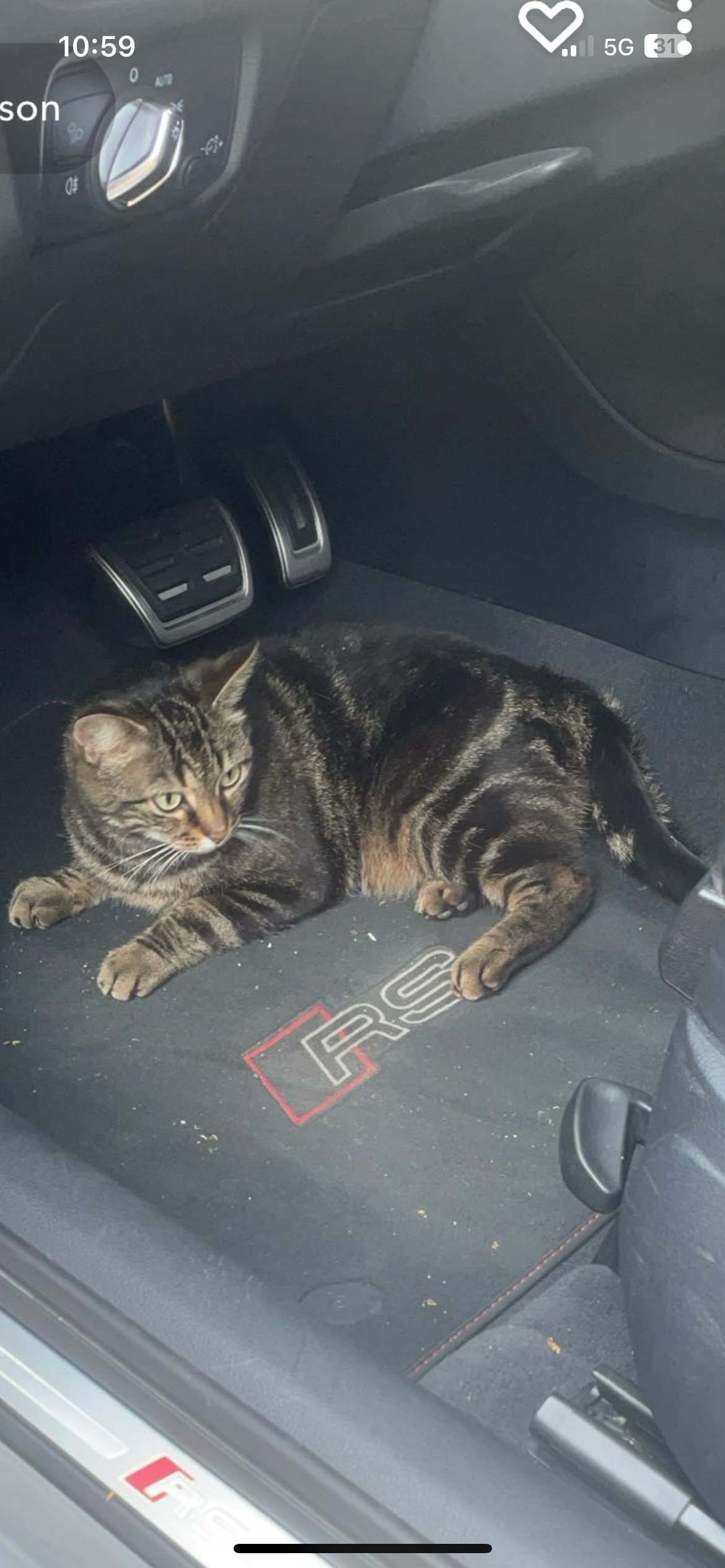 Catsi - Rue des Tanneurs, Sélestat