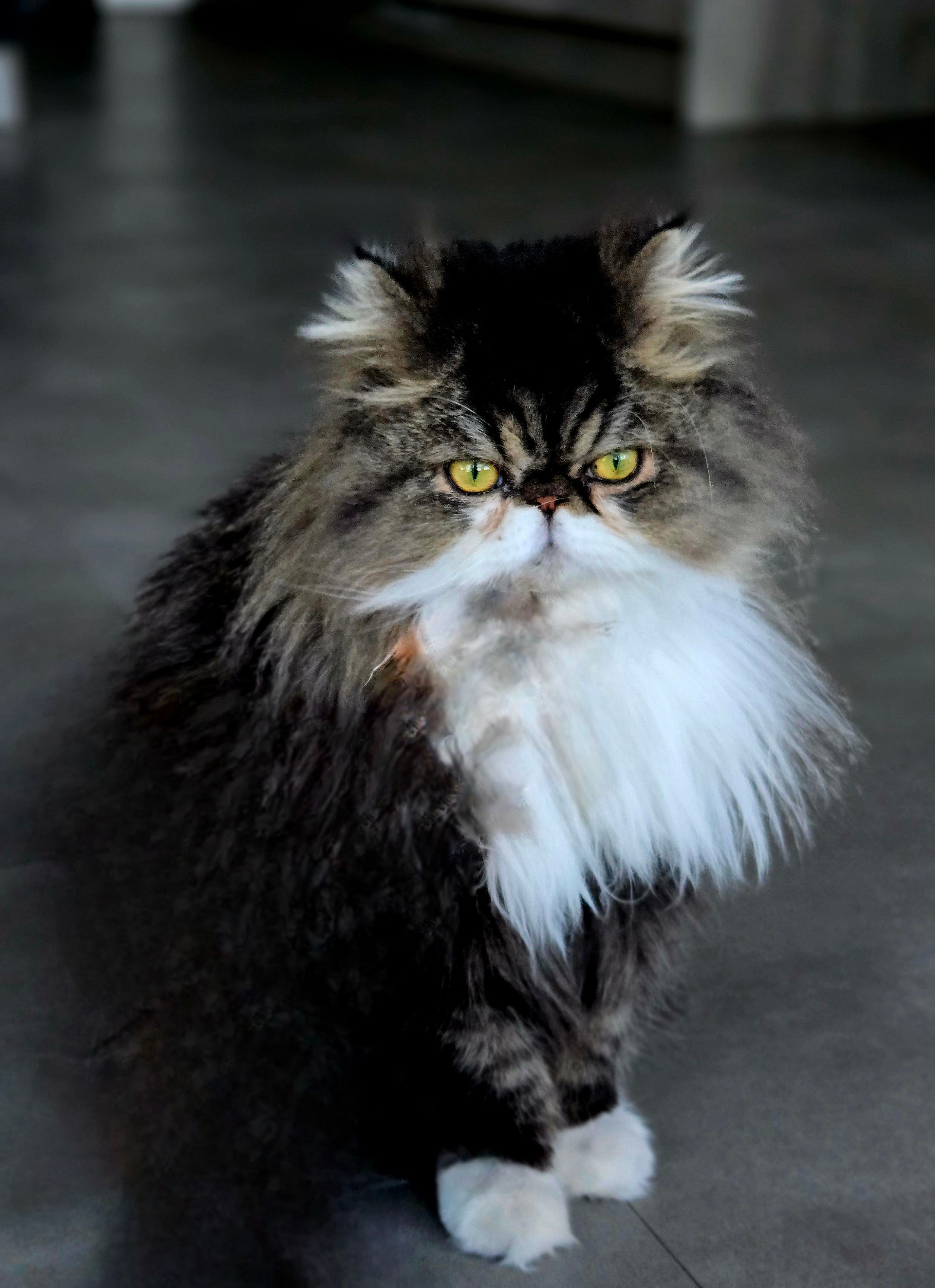 Uno - Déviation de Choisy au Bac, Choisy-au-Bac
