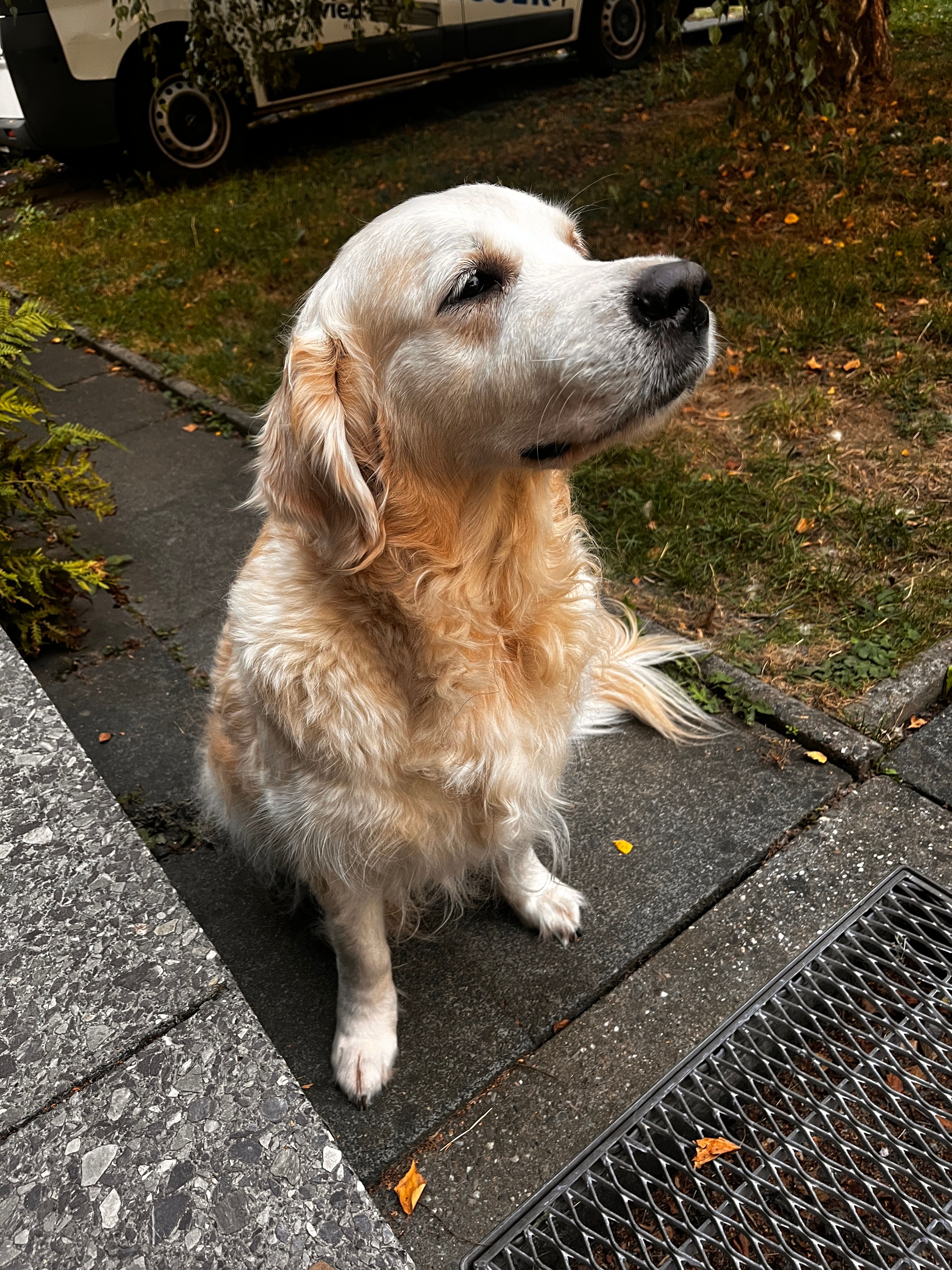Grace - An Der Liebfrauenkirche, Neuwied