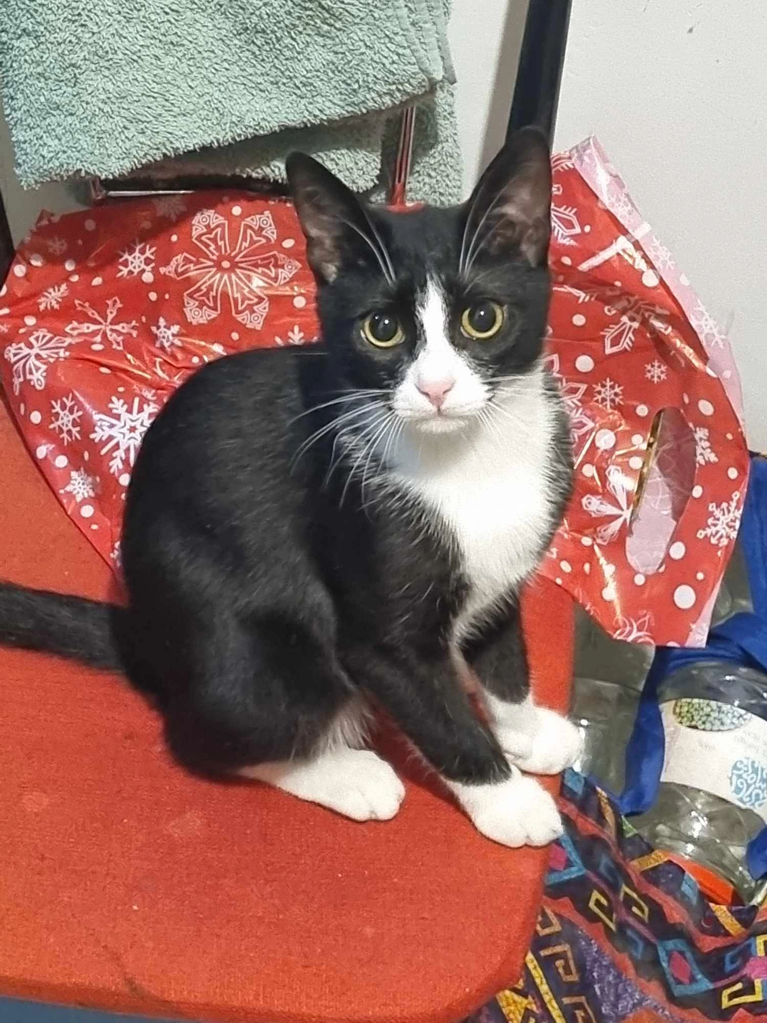 Leo - Nutsubidze Plateau 2 M/D, Tbilisi