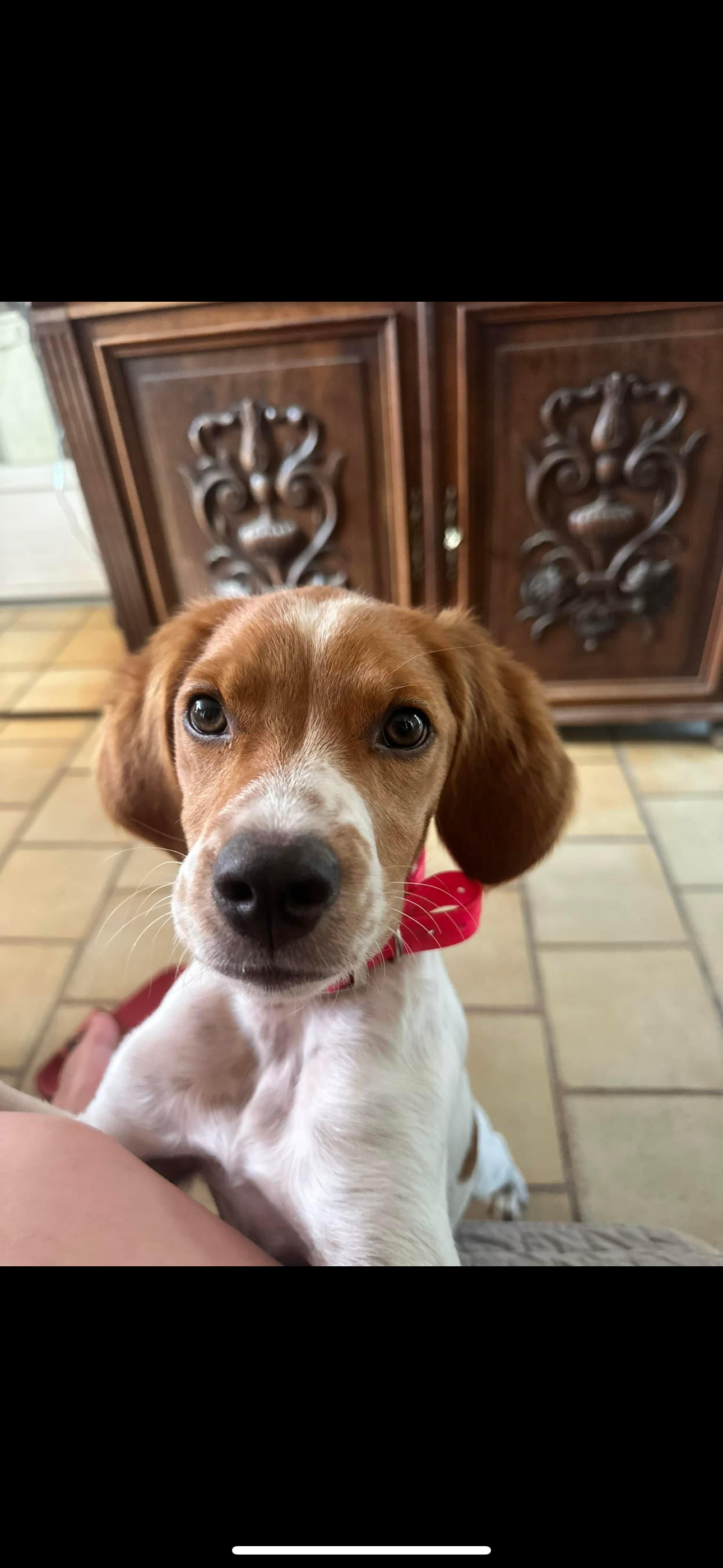 Vodka - Chemin De Chastre, Rousset