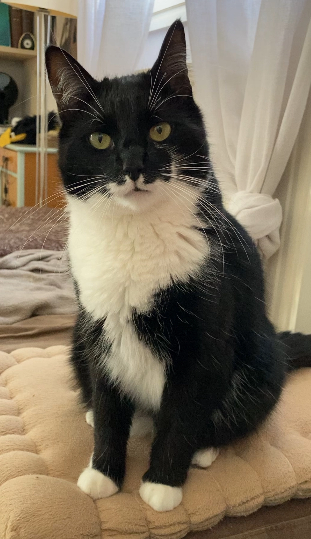 Batman - Chemin Du Marquis, Grandfontaine