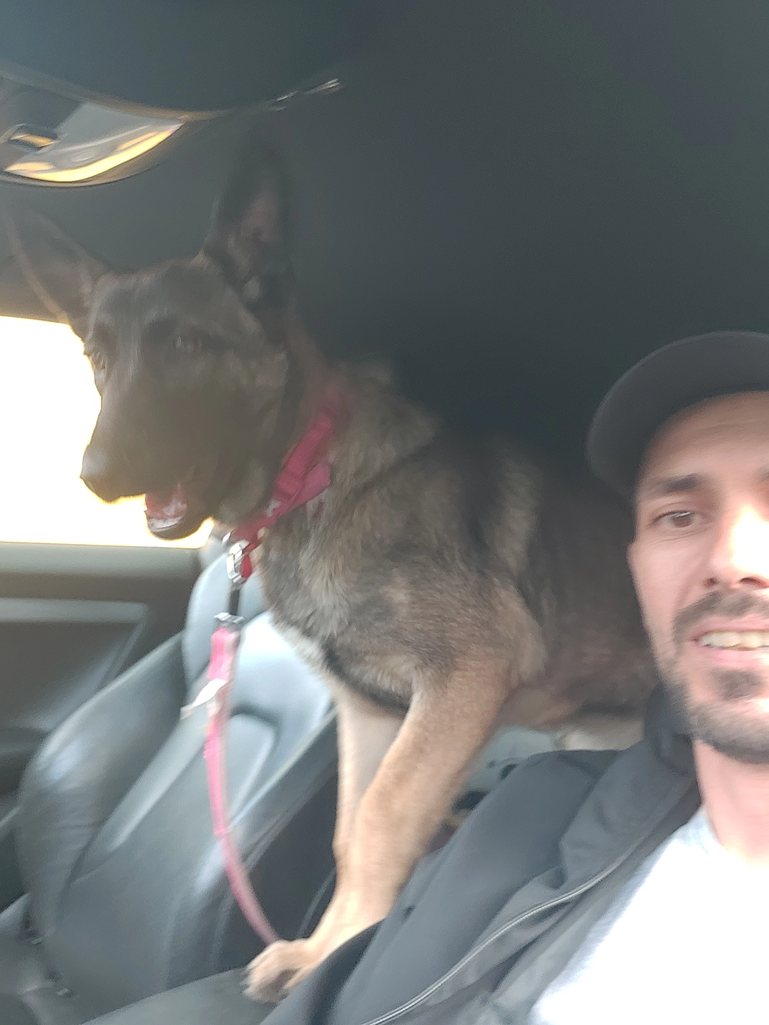 Luna - NN17 1, Corby