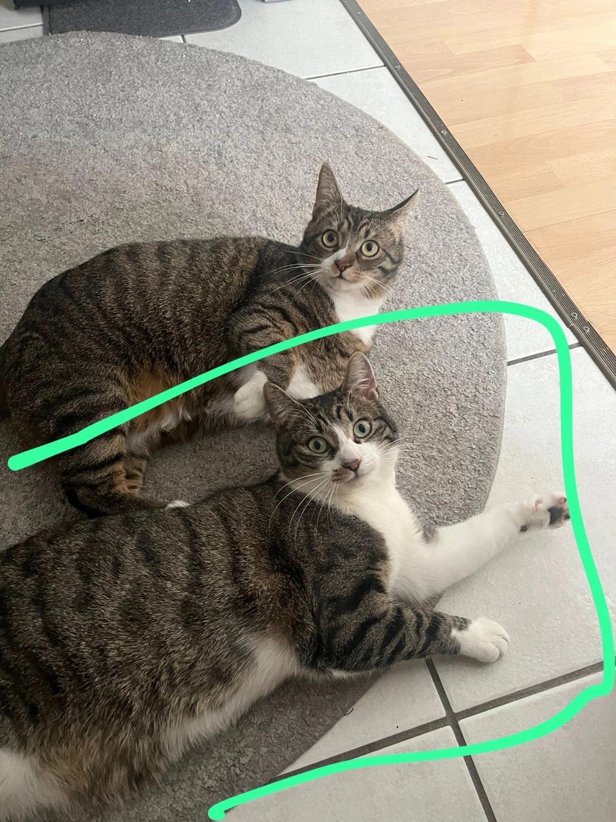 Julia - Alte Celler Heerstraße, Winsen