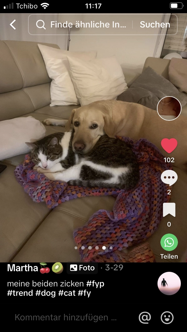 Molli - Hafnerstraße 17, Feldkirchen bei Graz