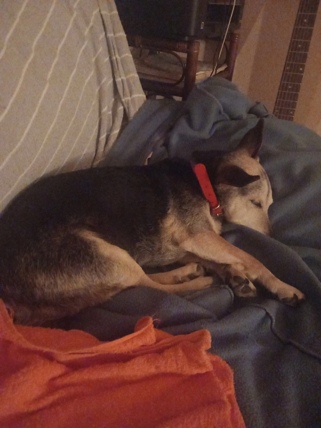 Avane - Rue Hippolyte de La Morvonnais, Saint-Malo