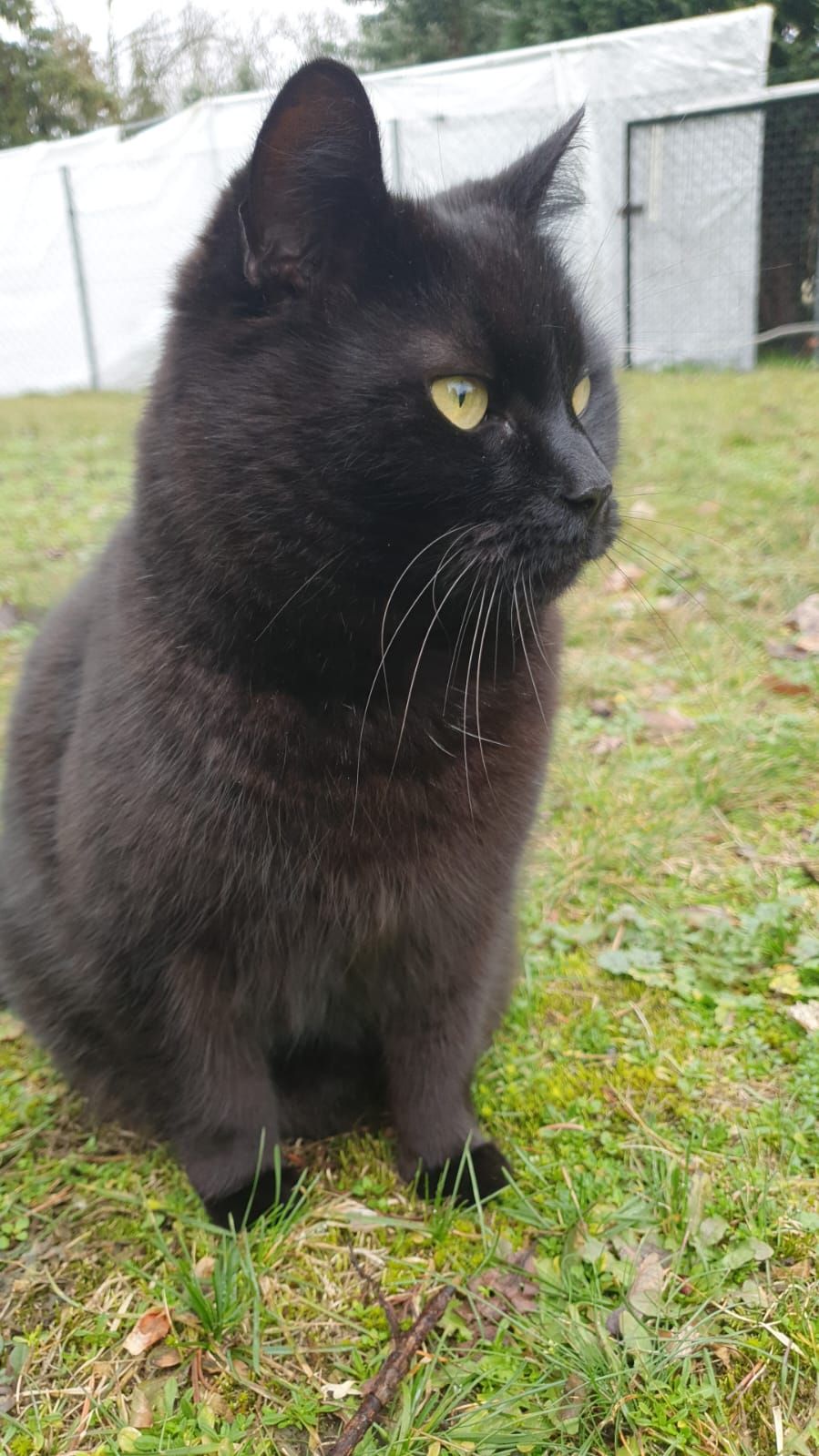 OSKAR - Klettwitzer Straße, Schipkau