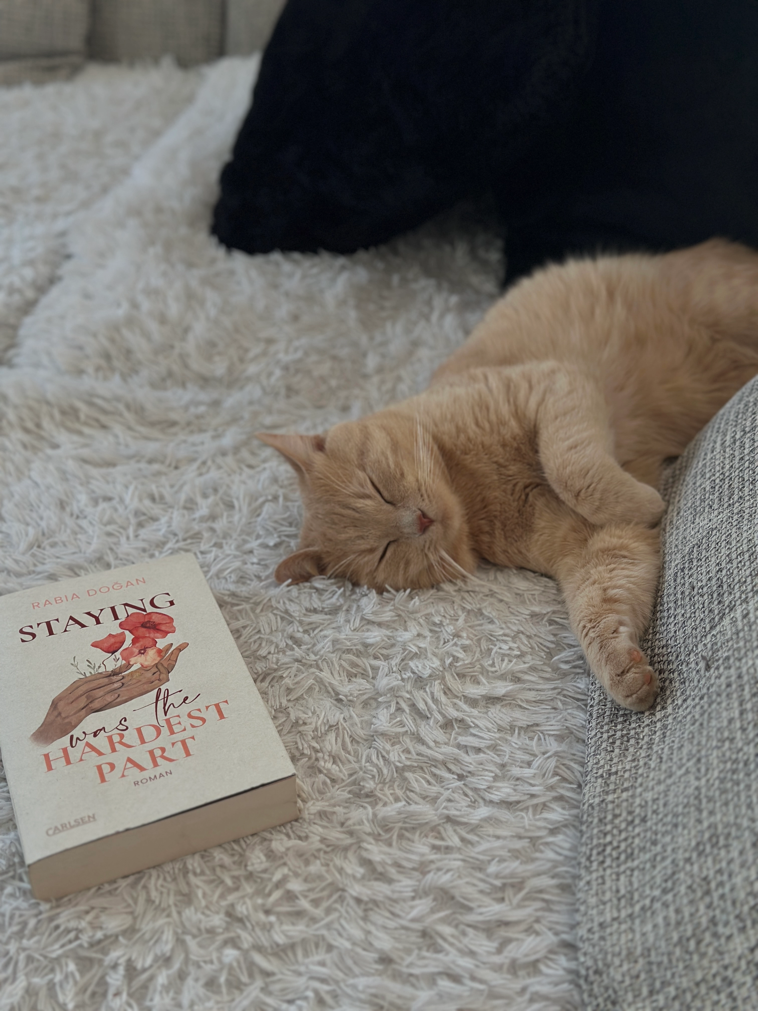 Garfield  - Wolfgang-Amadeus-Mozart-Gasse 126, Traiskirchen