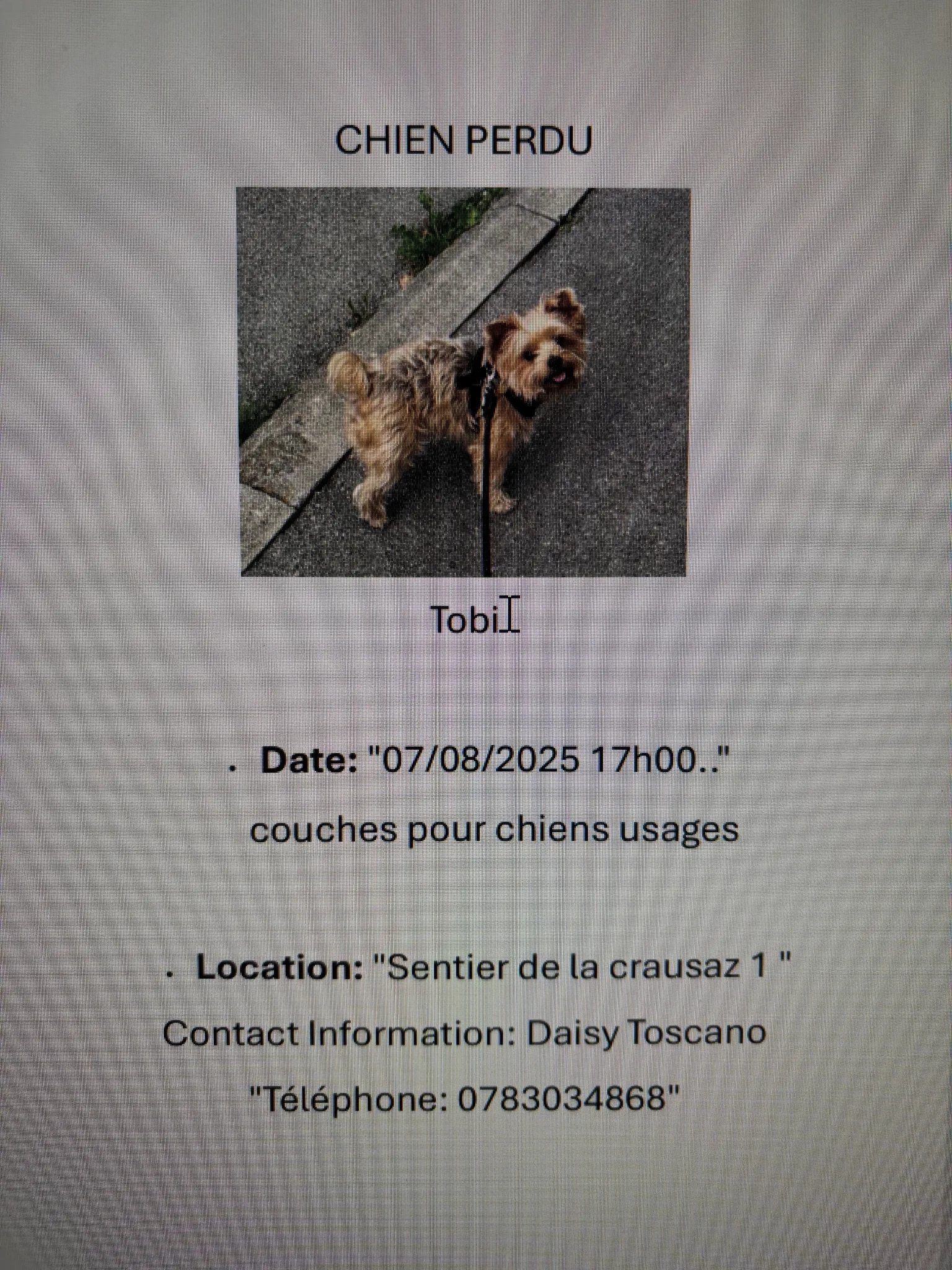 Yes, his name is Tobi - Chemin des Bulesses, La Tour-de-Peilz