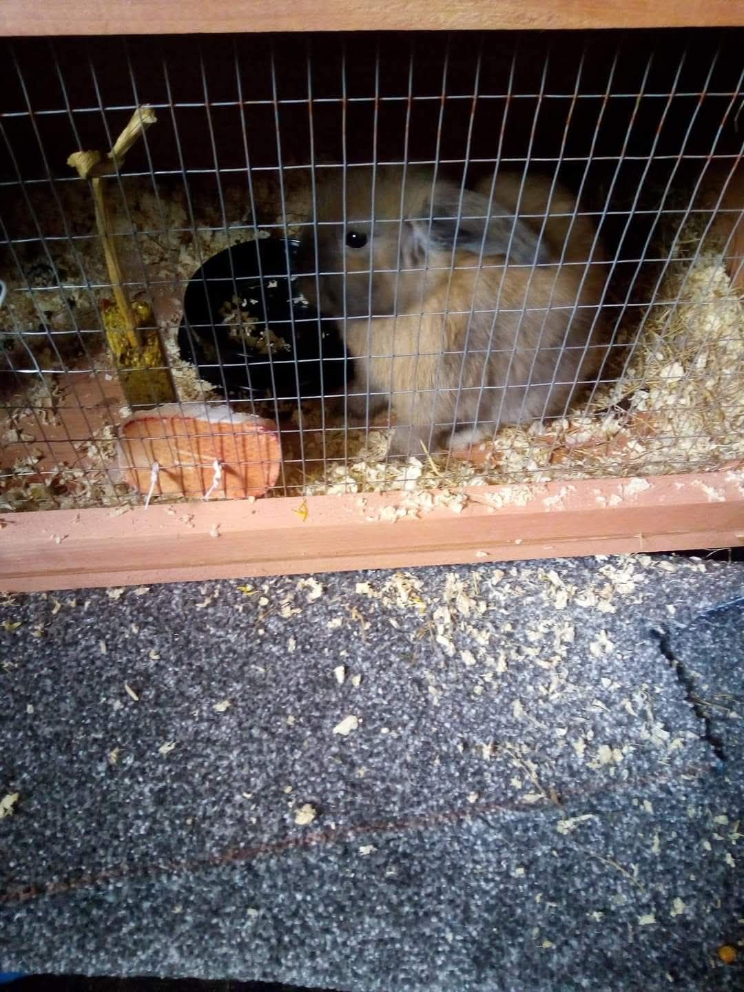 Billy - Stafford Street, Houghton-le-Spring