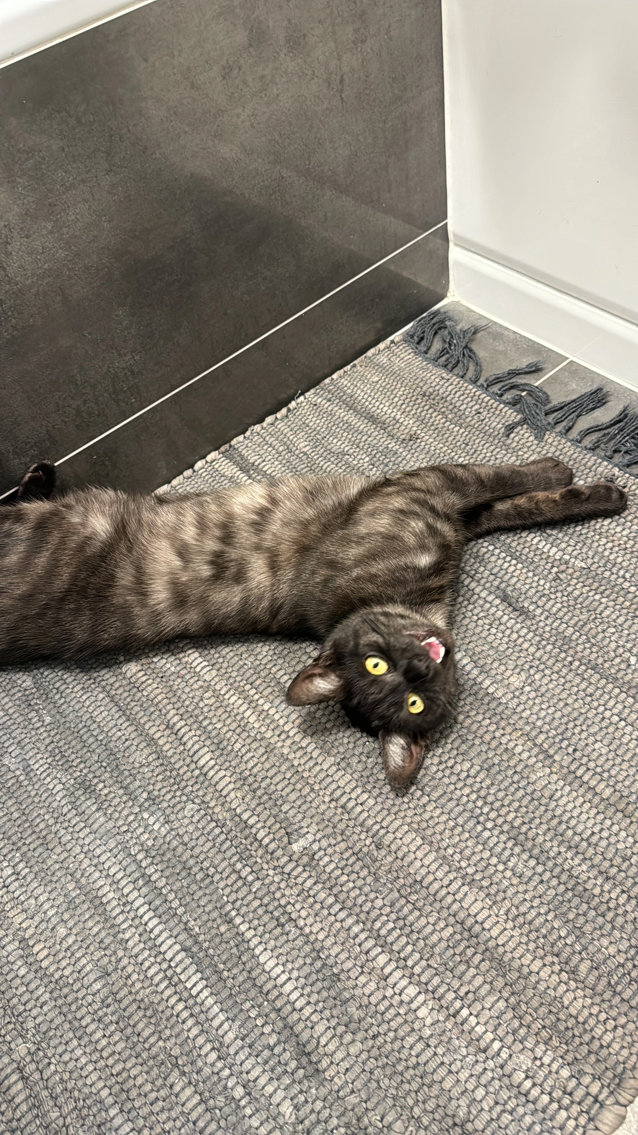 Lio - Eglseerweg, Altdorf