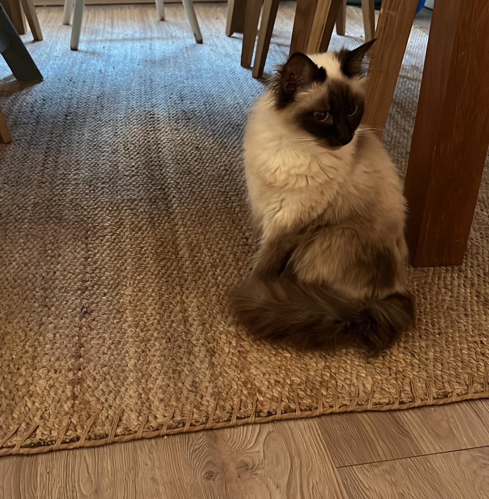 Elfie - An Der Mauer, Bad Dürrenberg