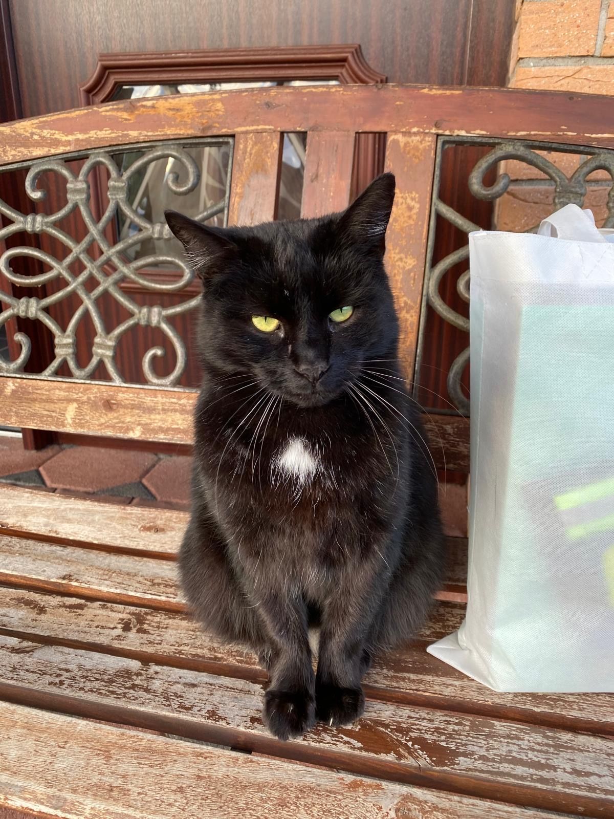 Tommy - Glaadter Straße, Jünkerath