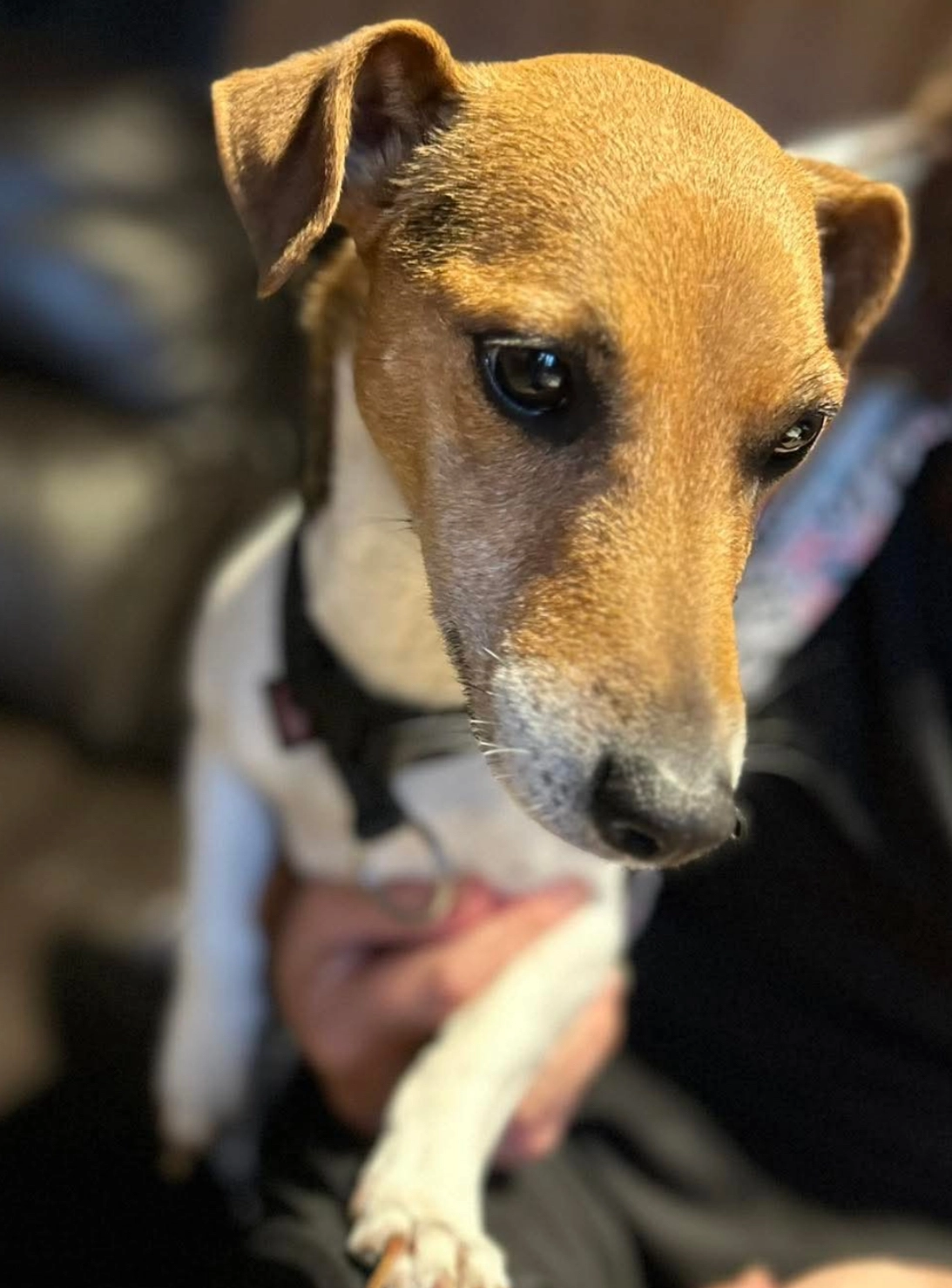 Belle  - Rue des Martyrs 25, Anderlues