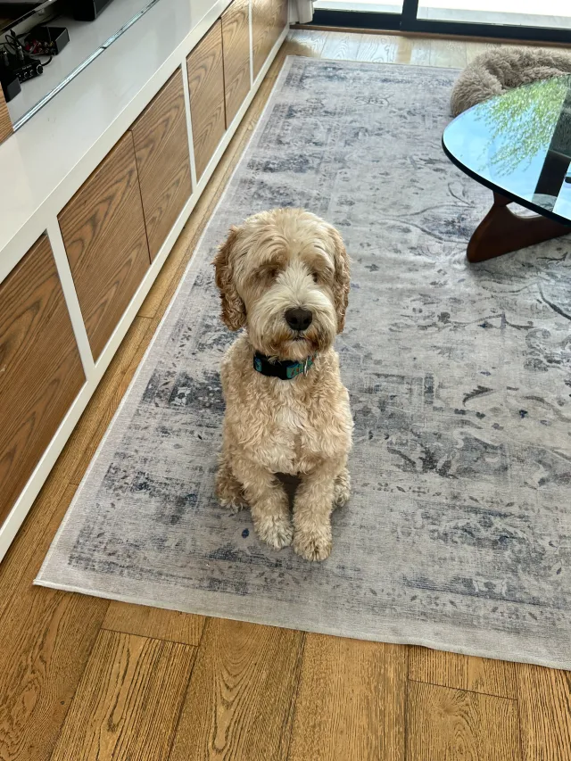 Milo  - 3526 Stoner Ave, Los Angeles