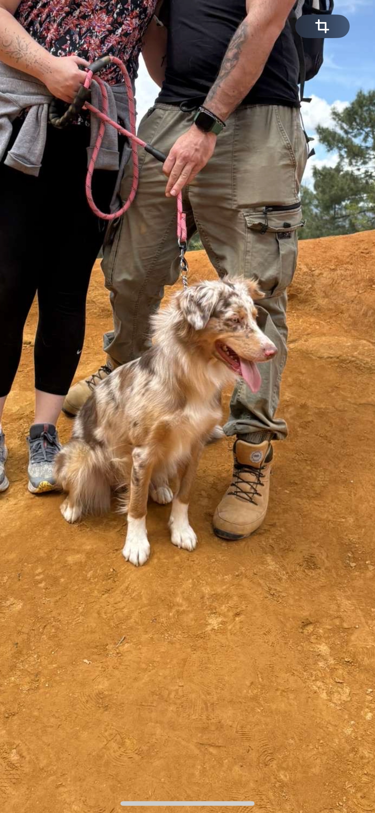 Vanille  - Avenue Du 19 Mars 1962, Vergigny
