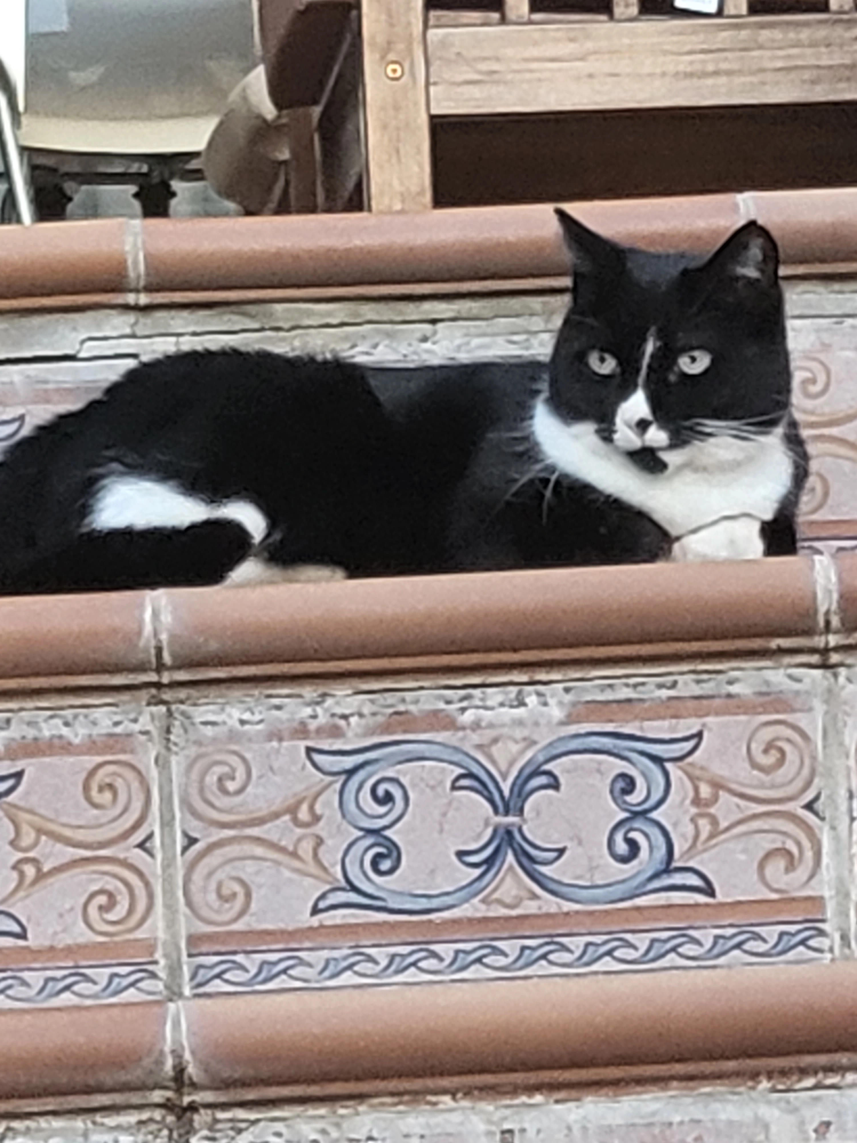 Snooch - Calle Alisio 6B, Écija