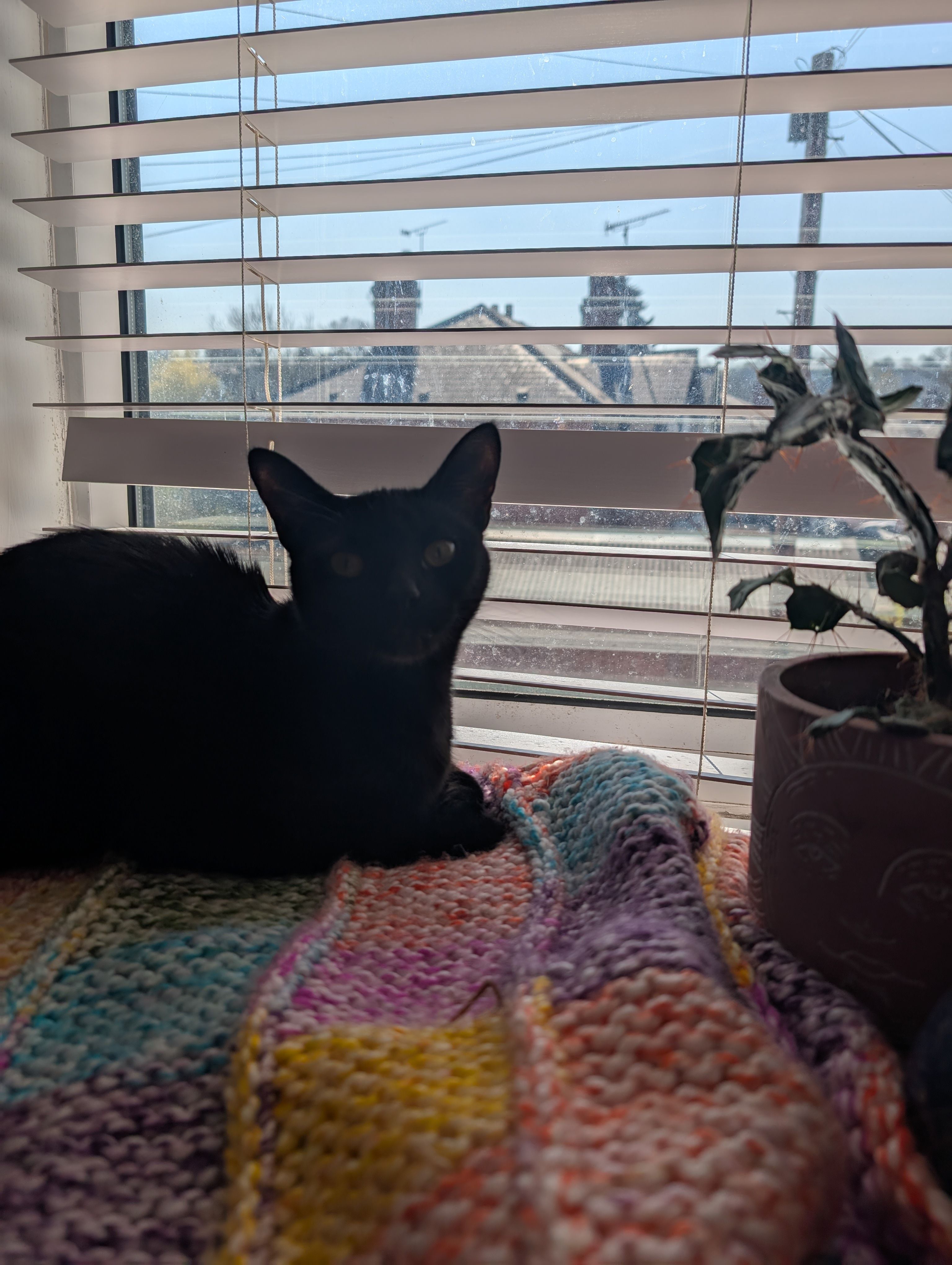 Rune - Burcroft Hill, Doncaster