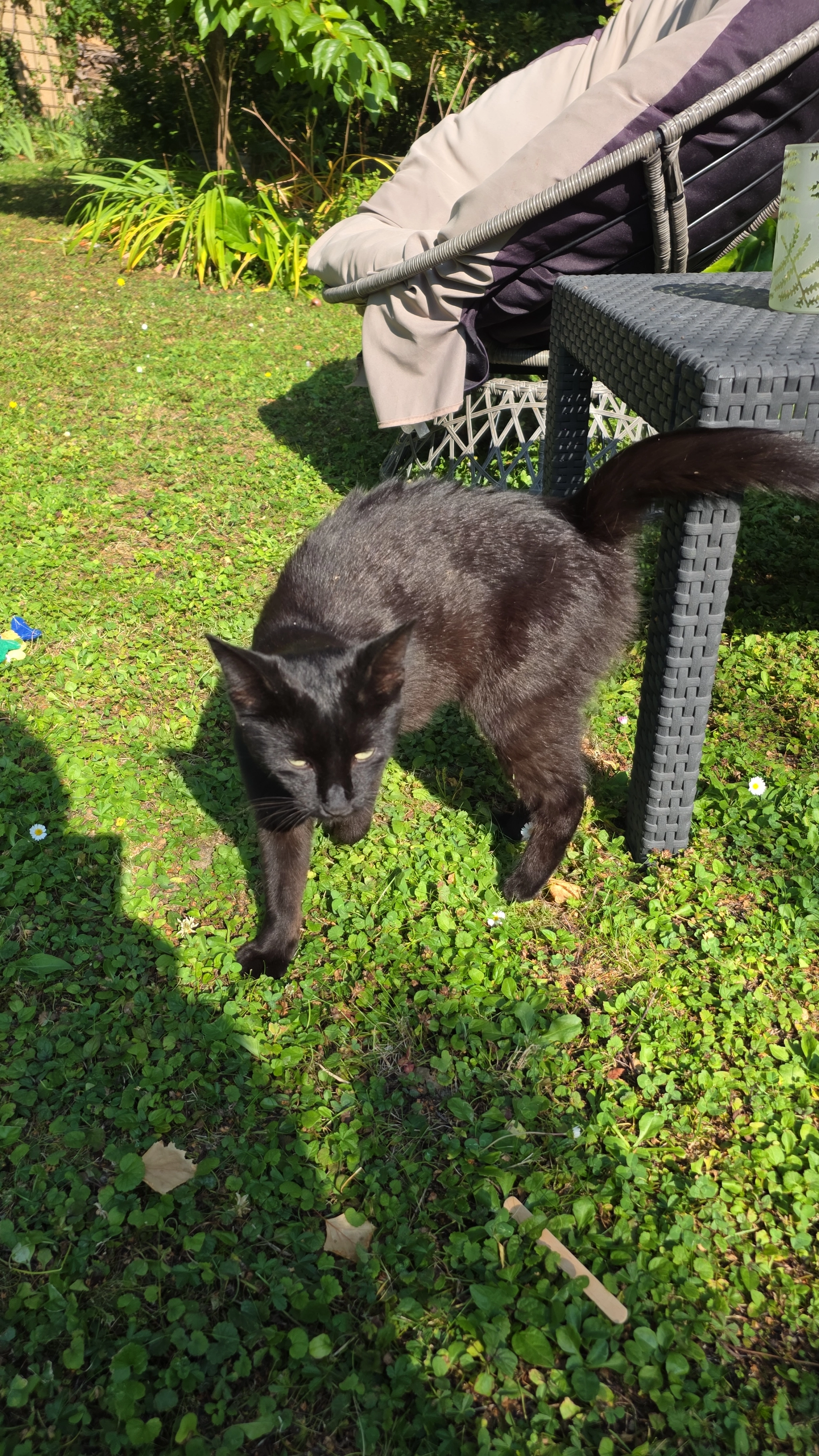 Louna - Les Champsrayés, Le Landeron
