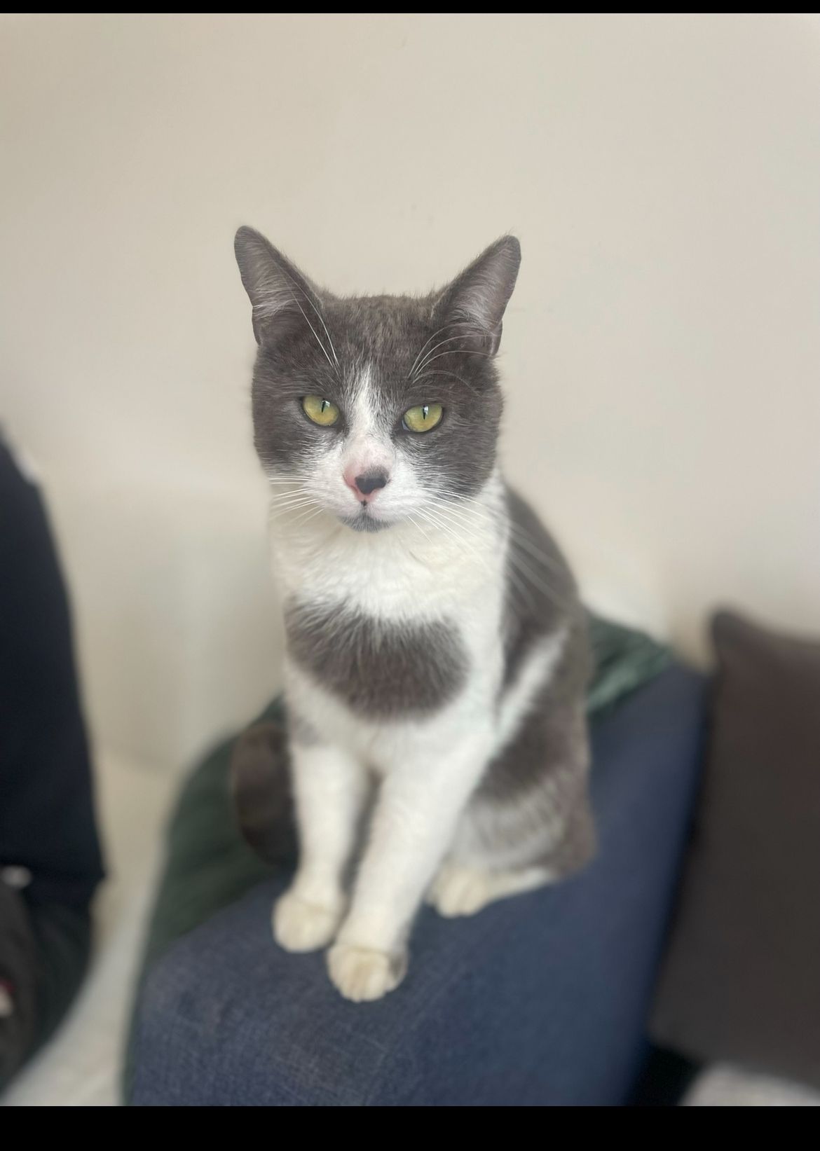 Milo - Rue De La Mairie, Tercis-les-Bains