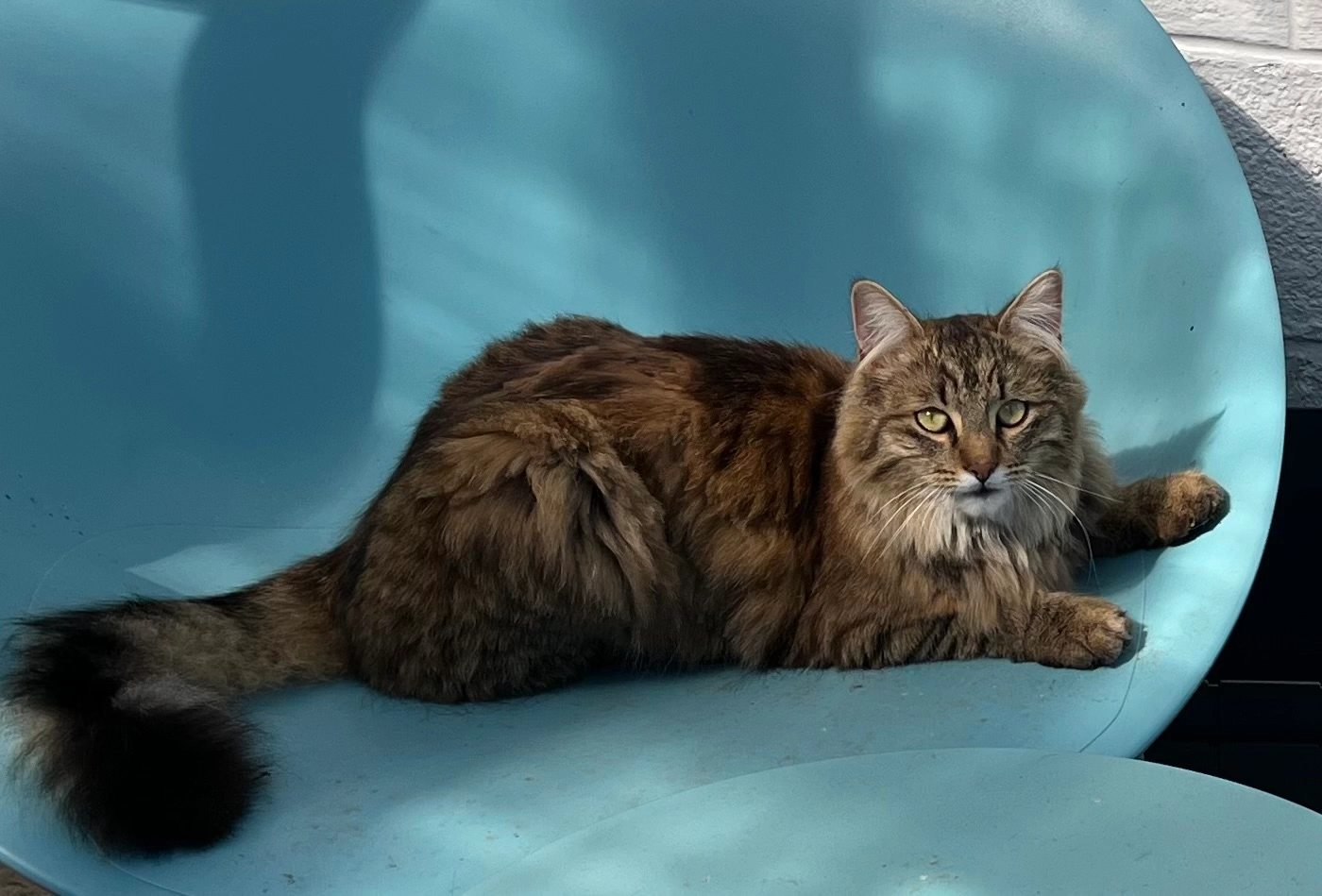 Pipou - Rue Basse, Frasnes-lez-Anvaing