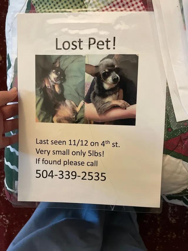 Bella - 4th St, Covington