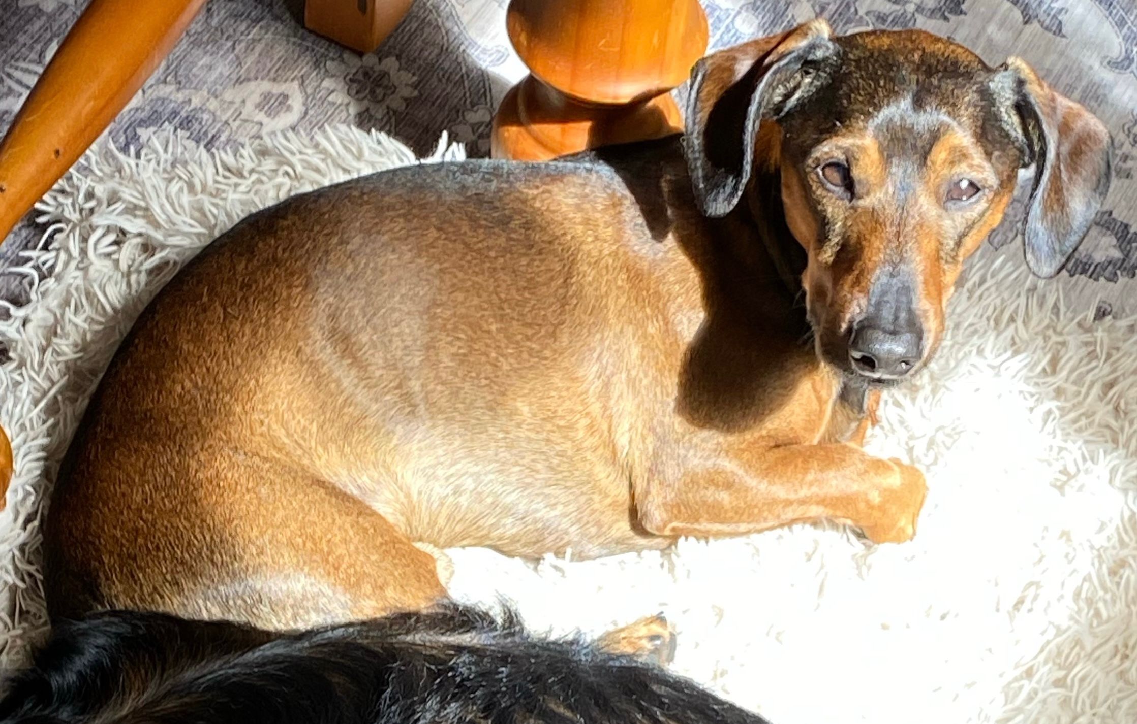 Sixten - Metallvägen, Sölvesborg