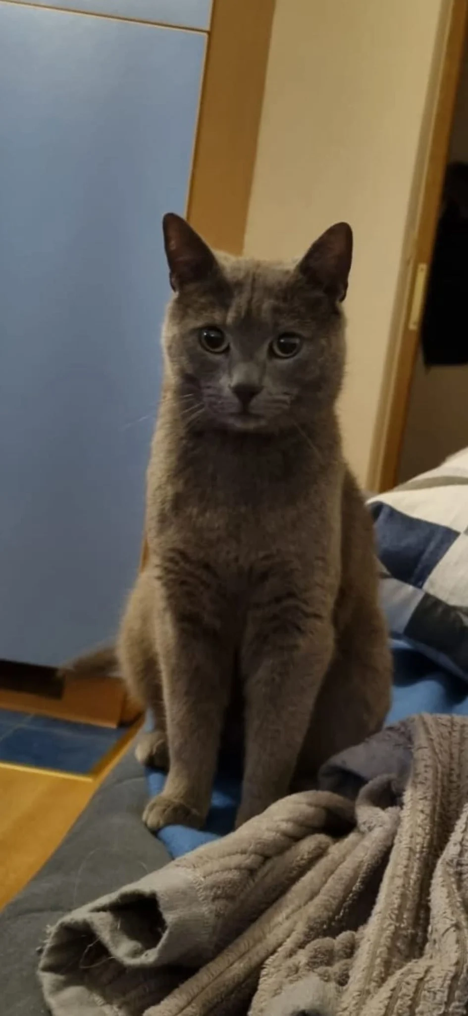 Leo - Улица Кумодрашка, Београд