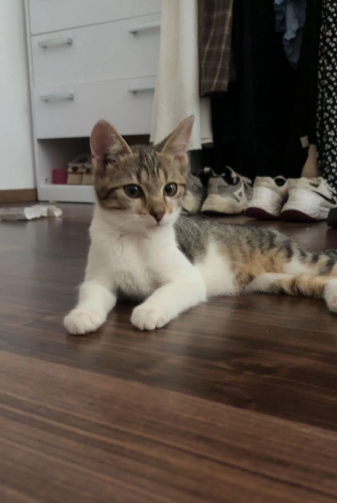 Merry - Bahnhofplatz, Herzogenburg