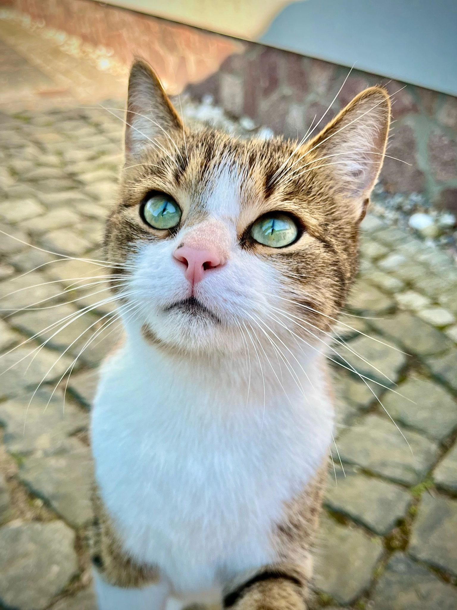Floki - Weinbergstraße, Zehdenick