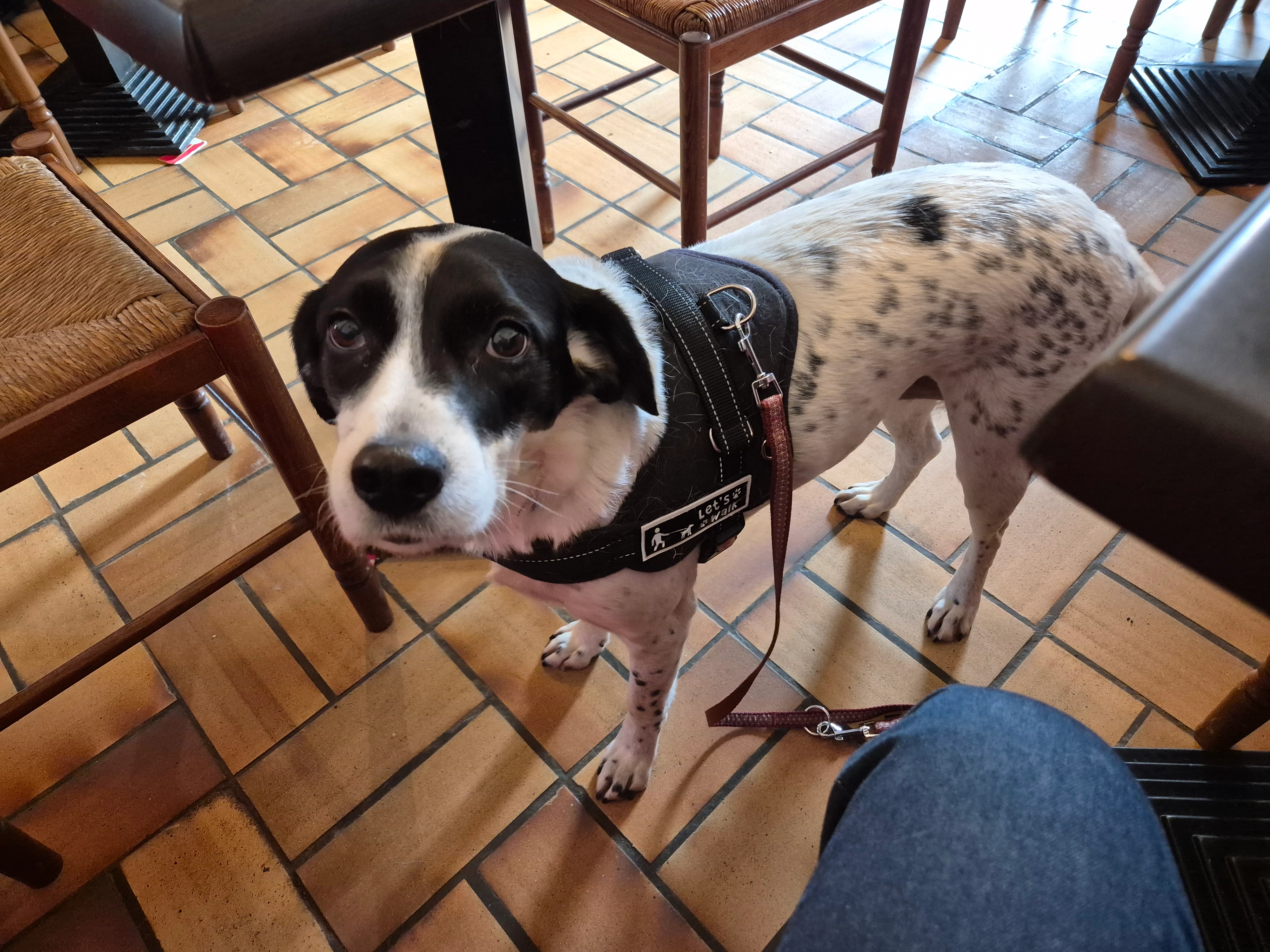 Mali - Route d'Hébertot, Saint-André-d'Hébertot
