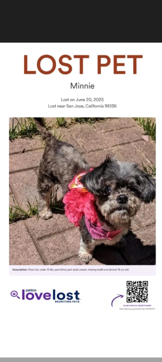 Minnie  - 351 Grandpark Cir, San Jose