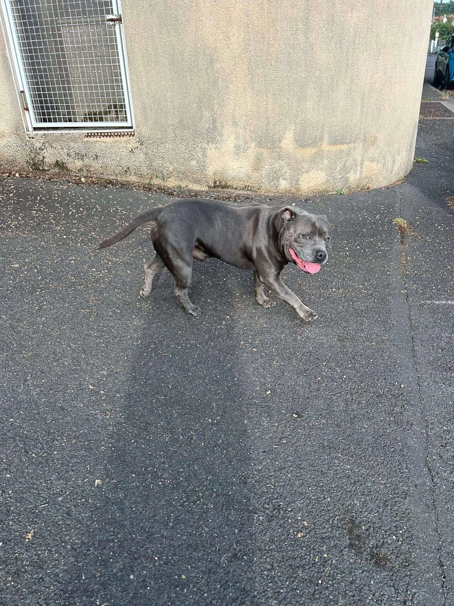 Nouky  - Rue Georges Clemenceau, L'Isle-d'Espagnac