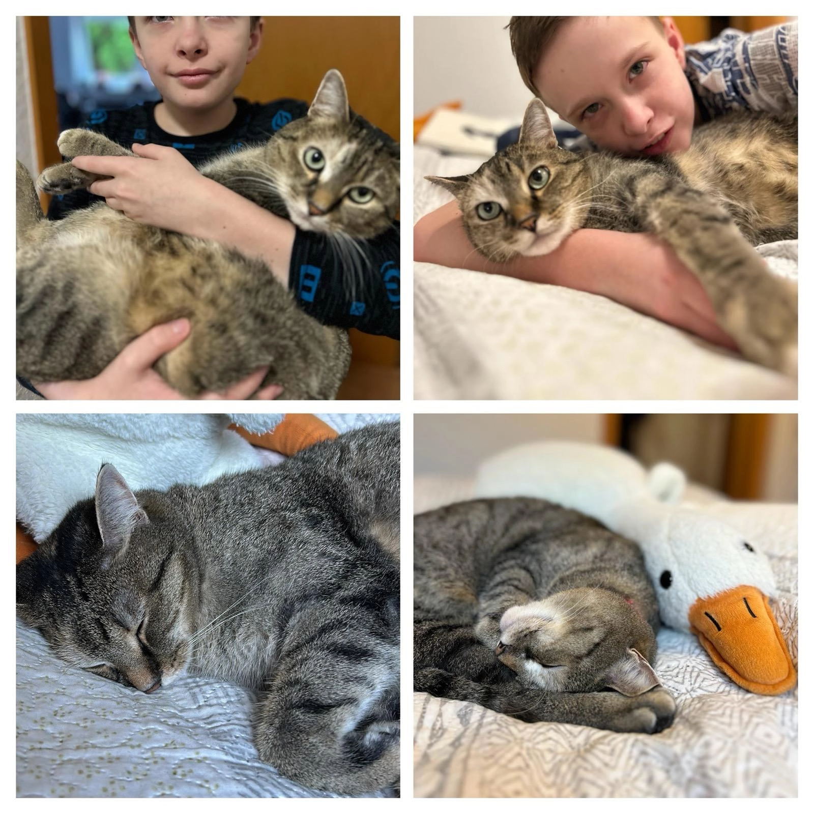 Alisa - Sylbacher Straße 217A, Bad Salzuflen