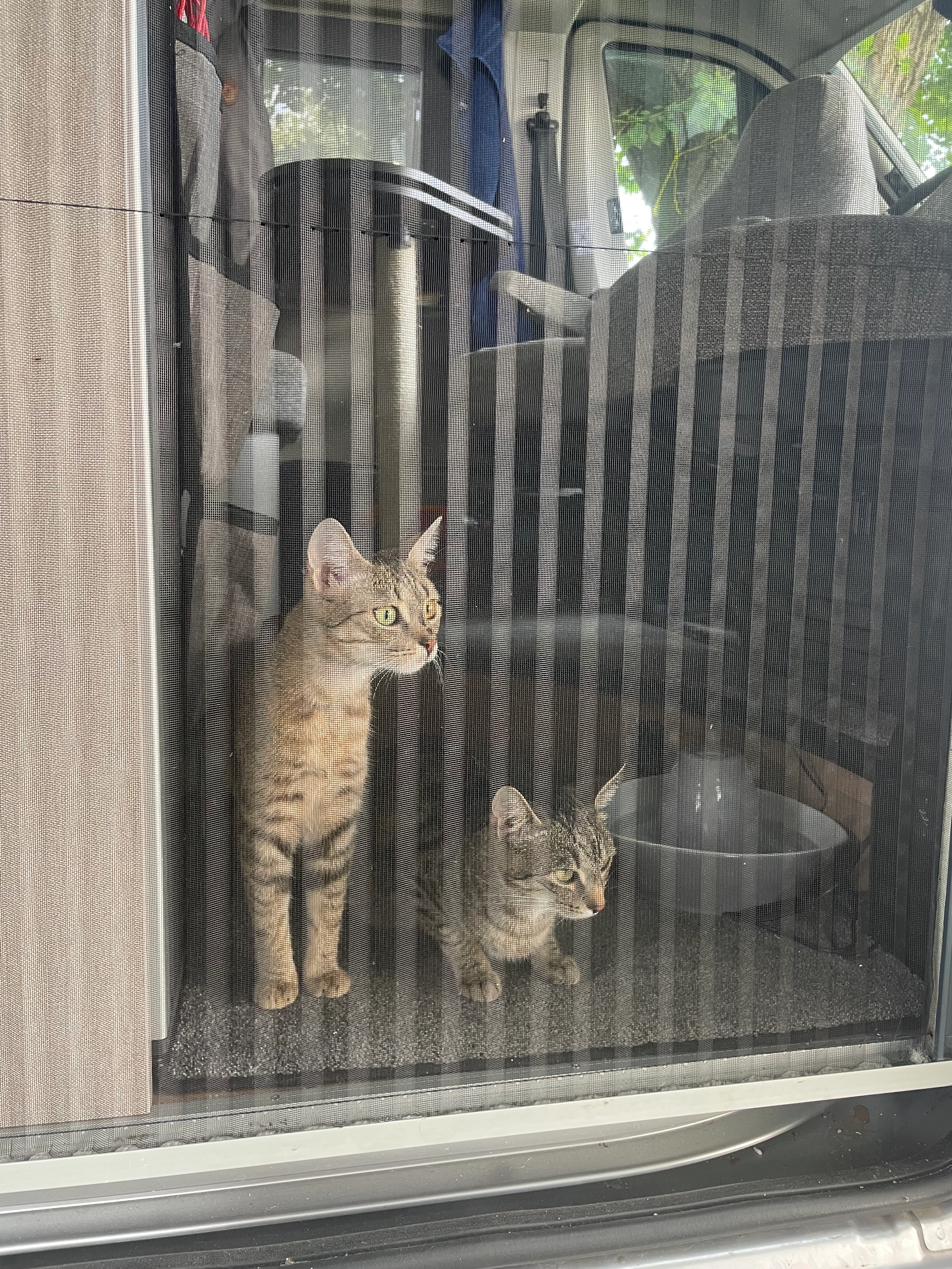 Mabel - Viale Giacomo Brodolini, Lecco