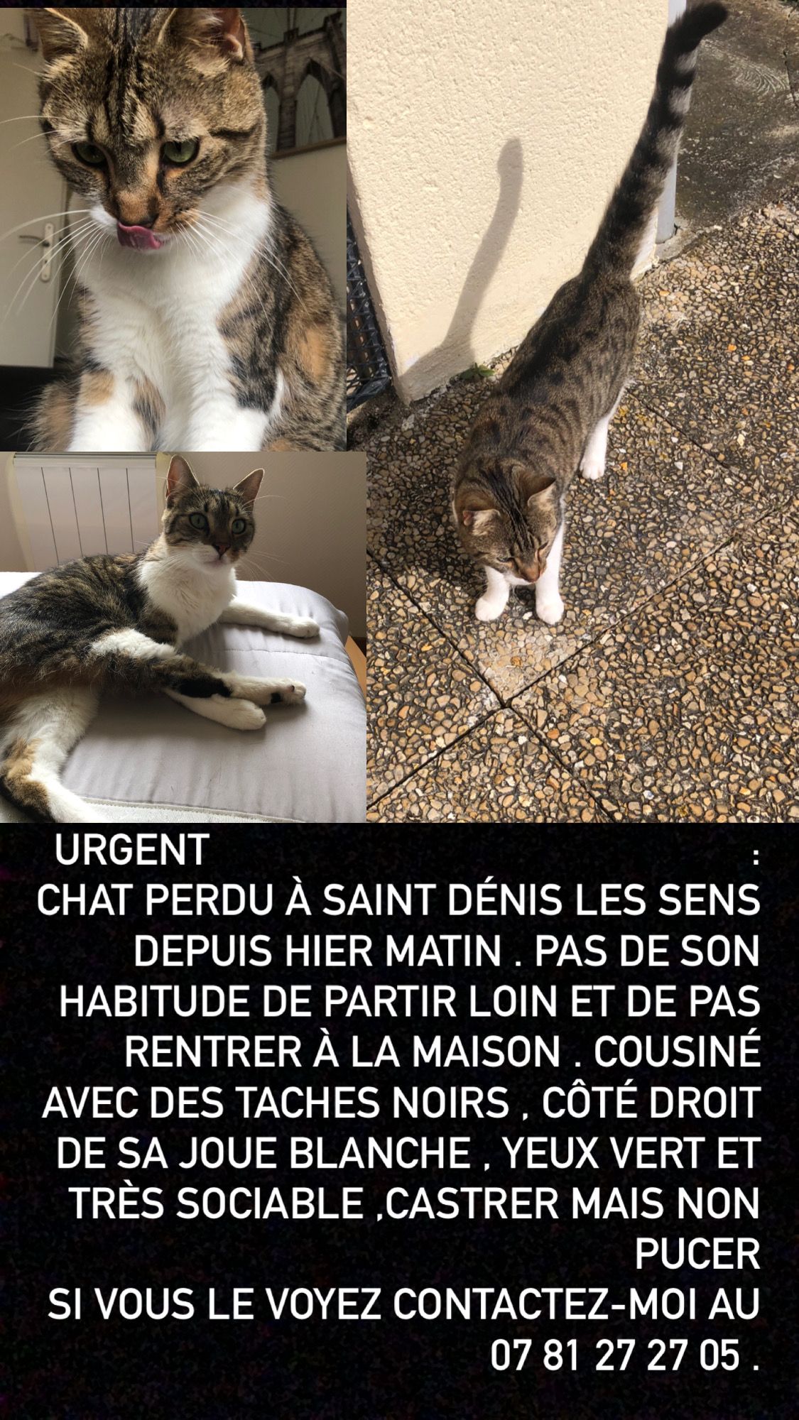 Tokyo  - D 606b, Saint-Denis-lès-Sens