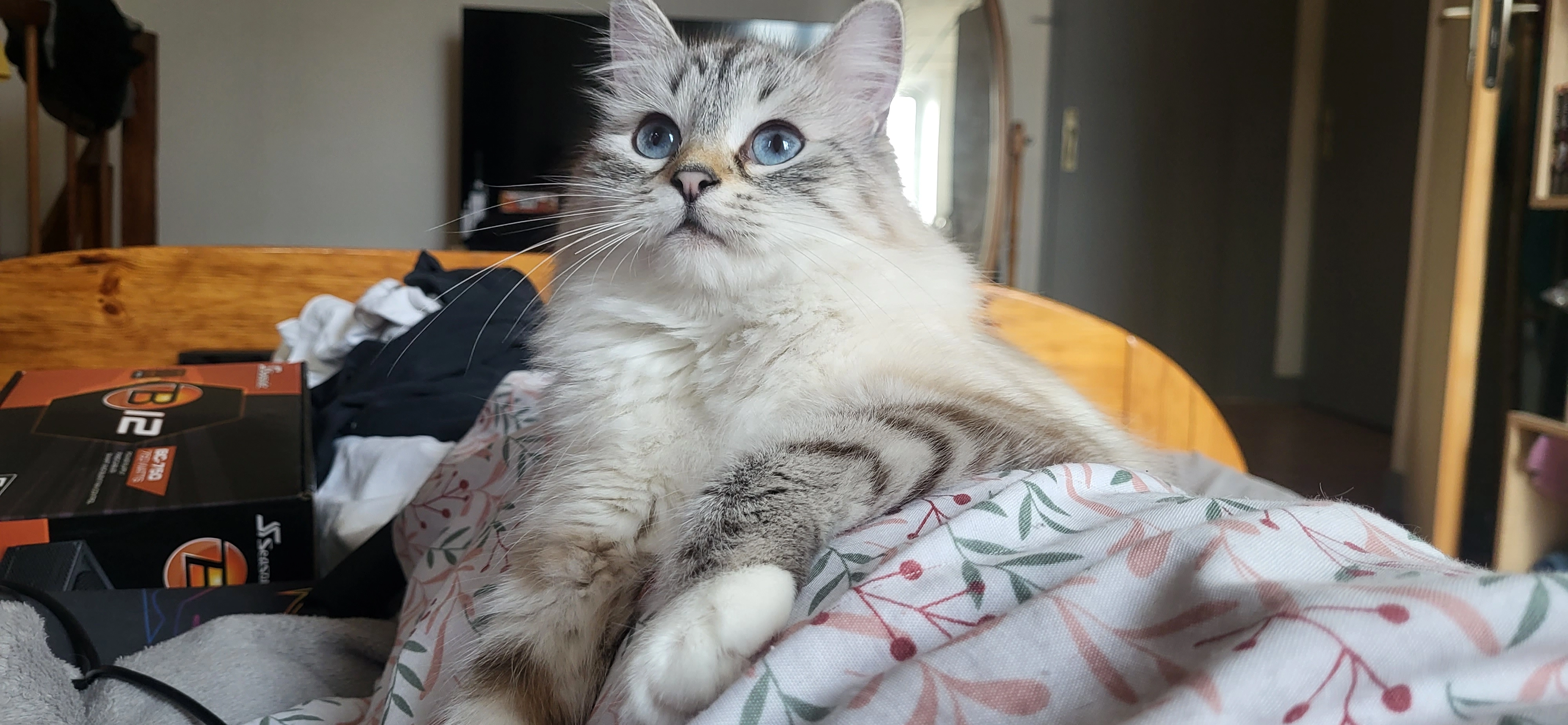 Una - 29 Allée de la Grive, Bourg-lès-Valence