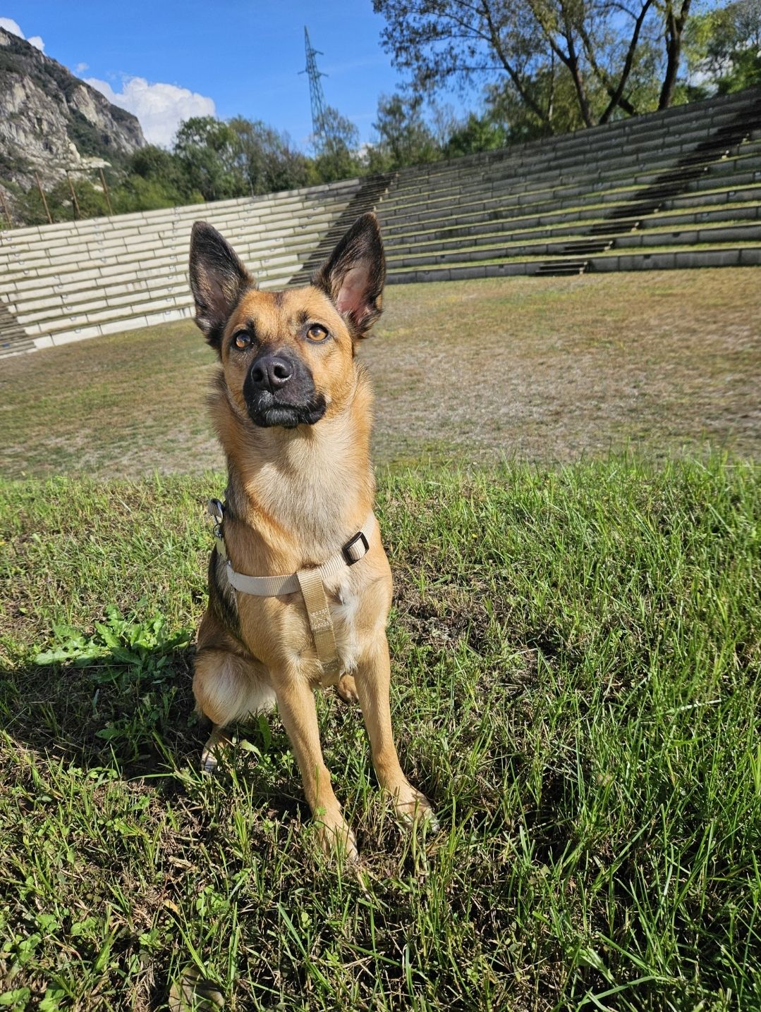 Akela - Corso Guglielmo Marconi, Gravellona Toce