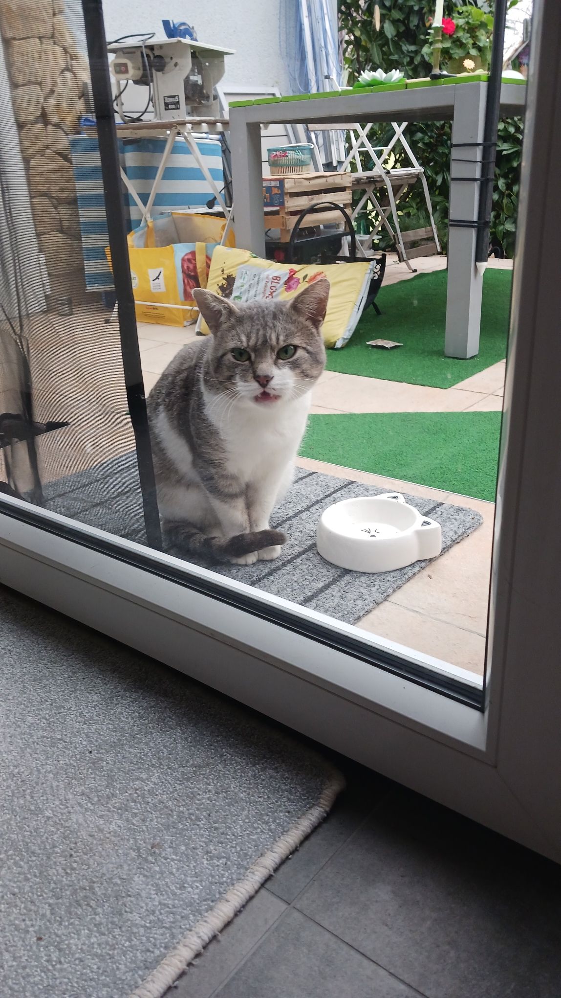 Jesus nenne ich Ihn - 4 Rue Clemenceau, Falck