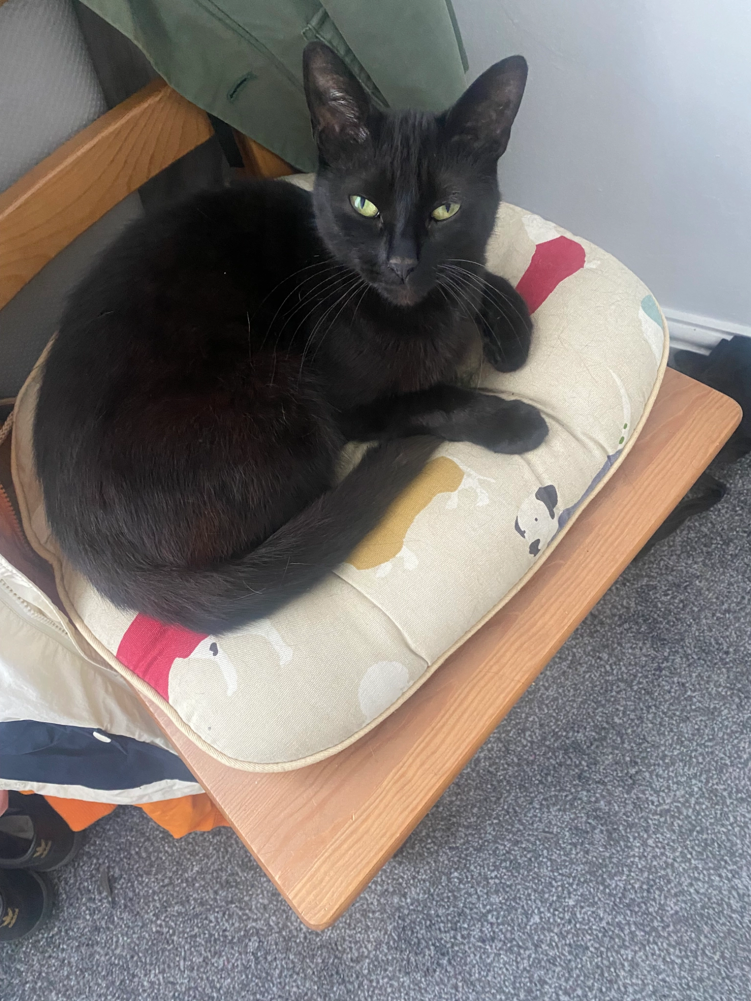 Luna - Lilac Crescent, Newcastle Upon Tyne