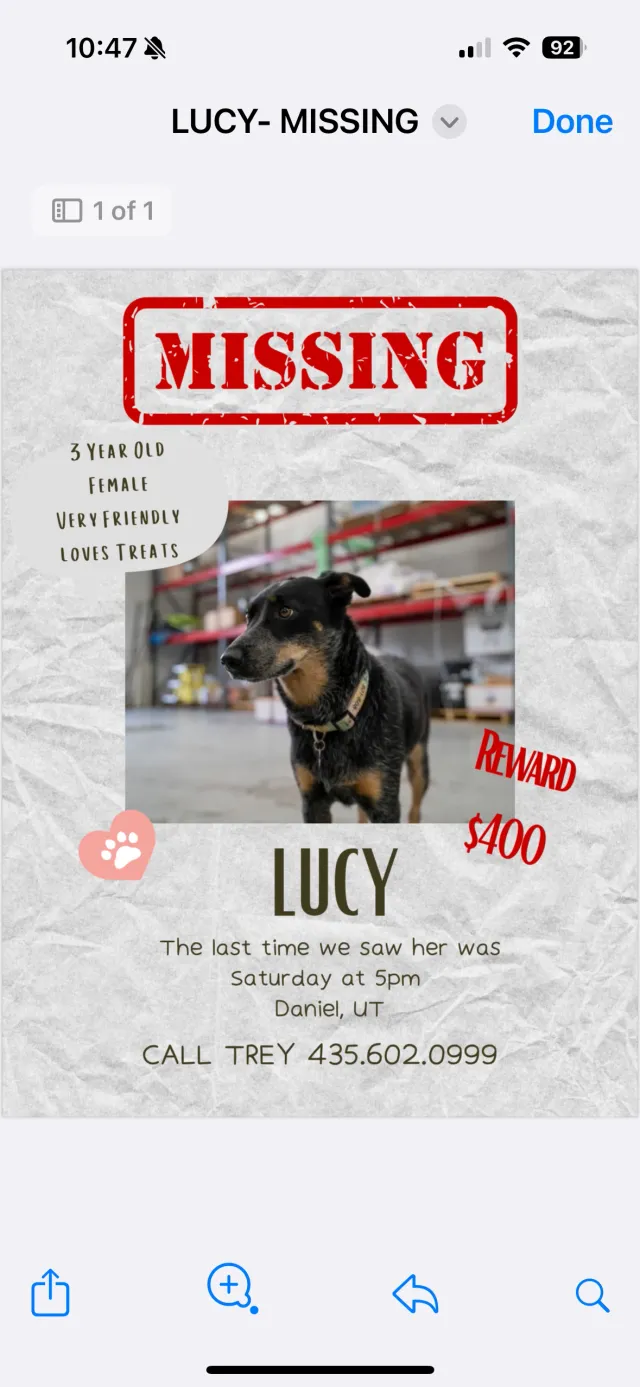 Lucy - 291 W 3000 S, Heber City