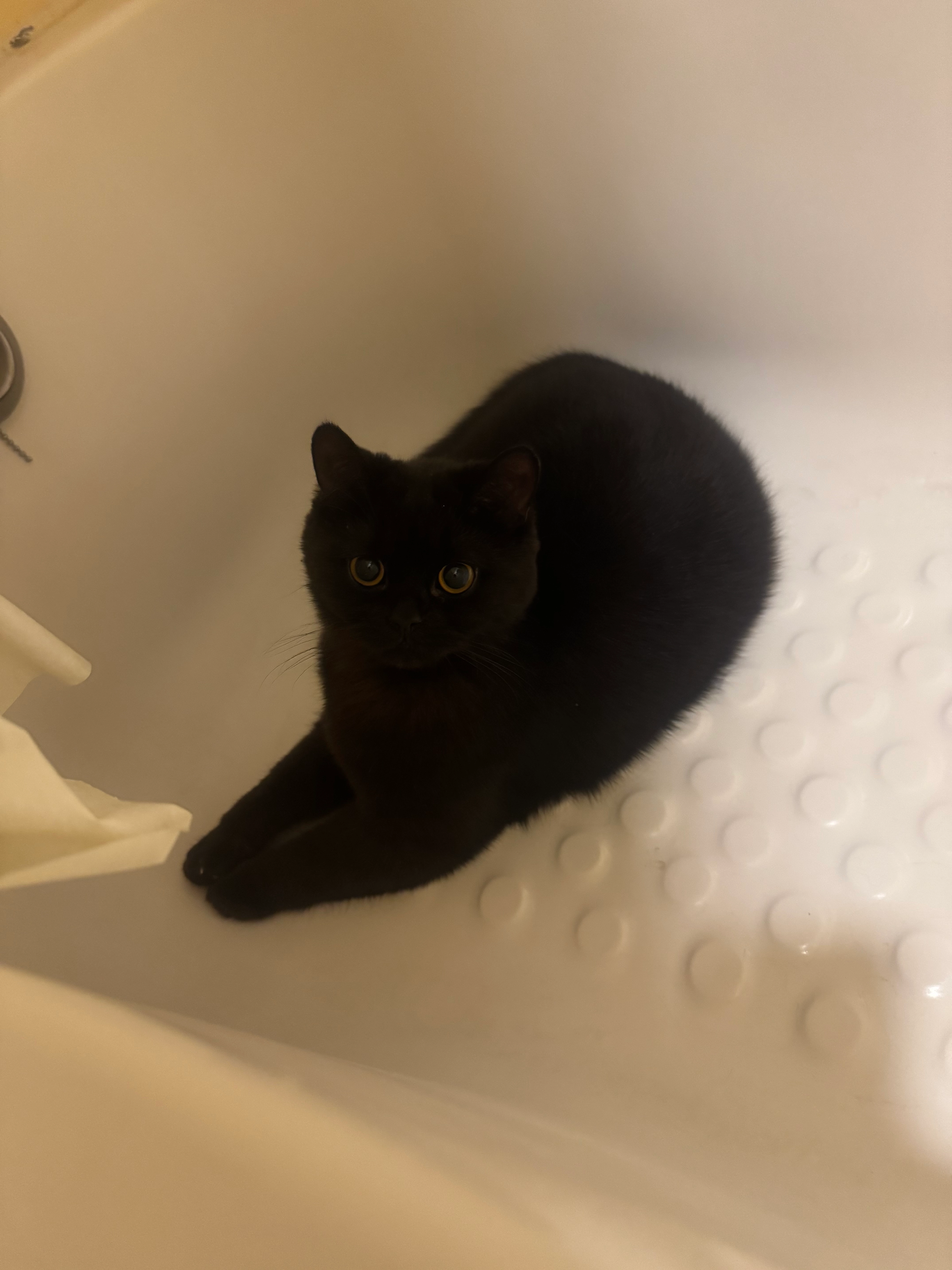 Shadow - Bushra Street, Tla al ali