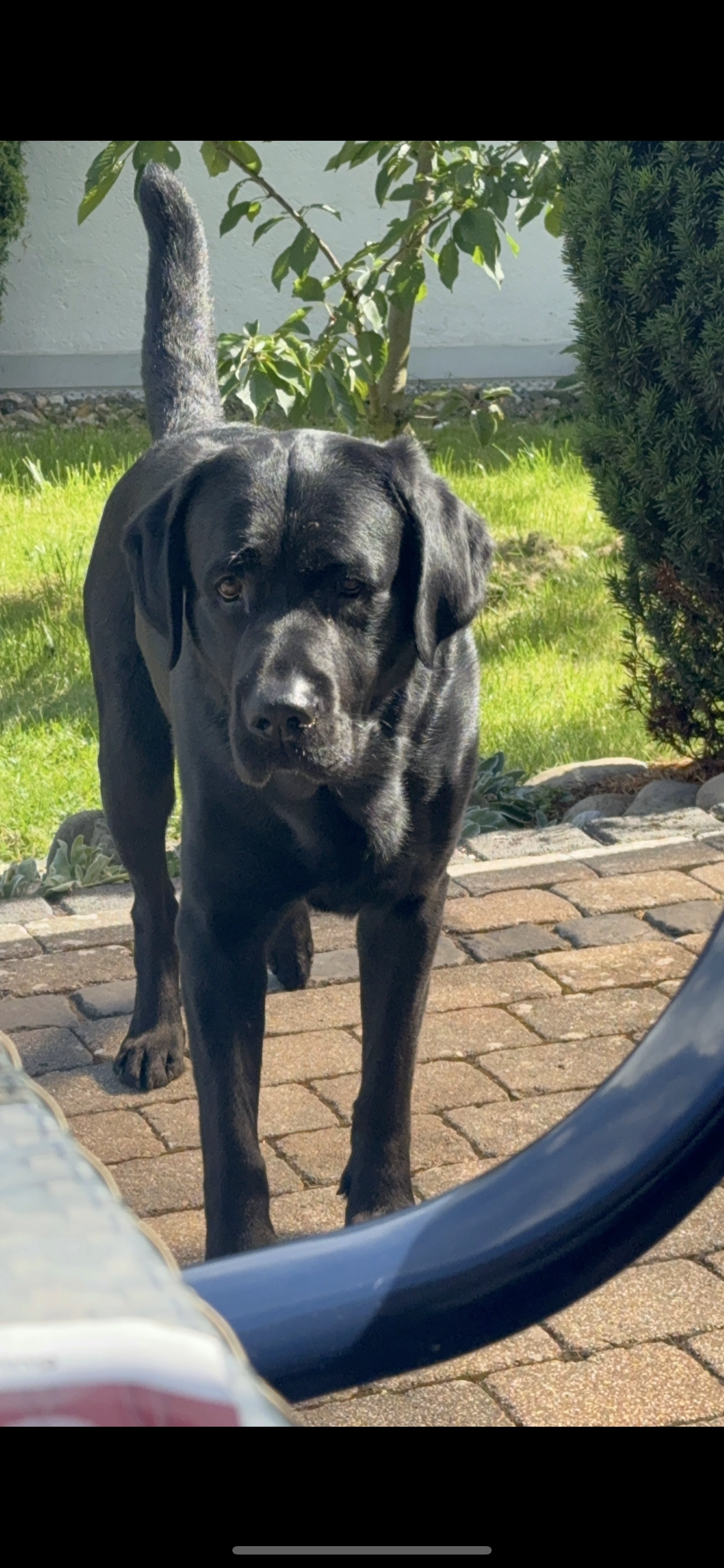 Polat - Auguste-Förster-Straße, Niestetal